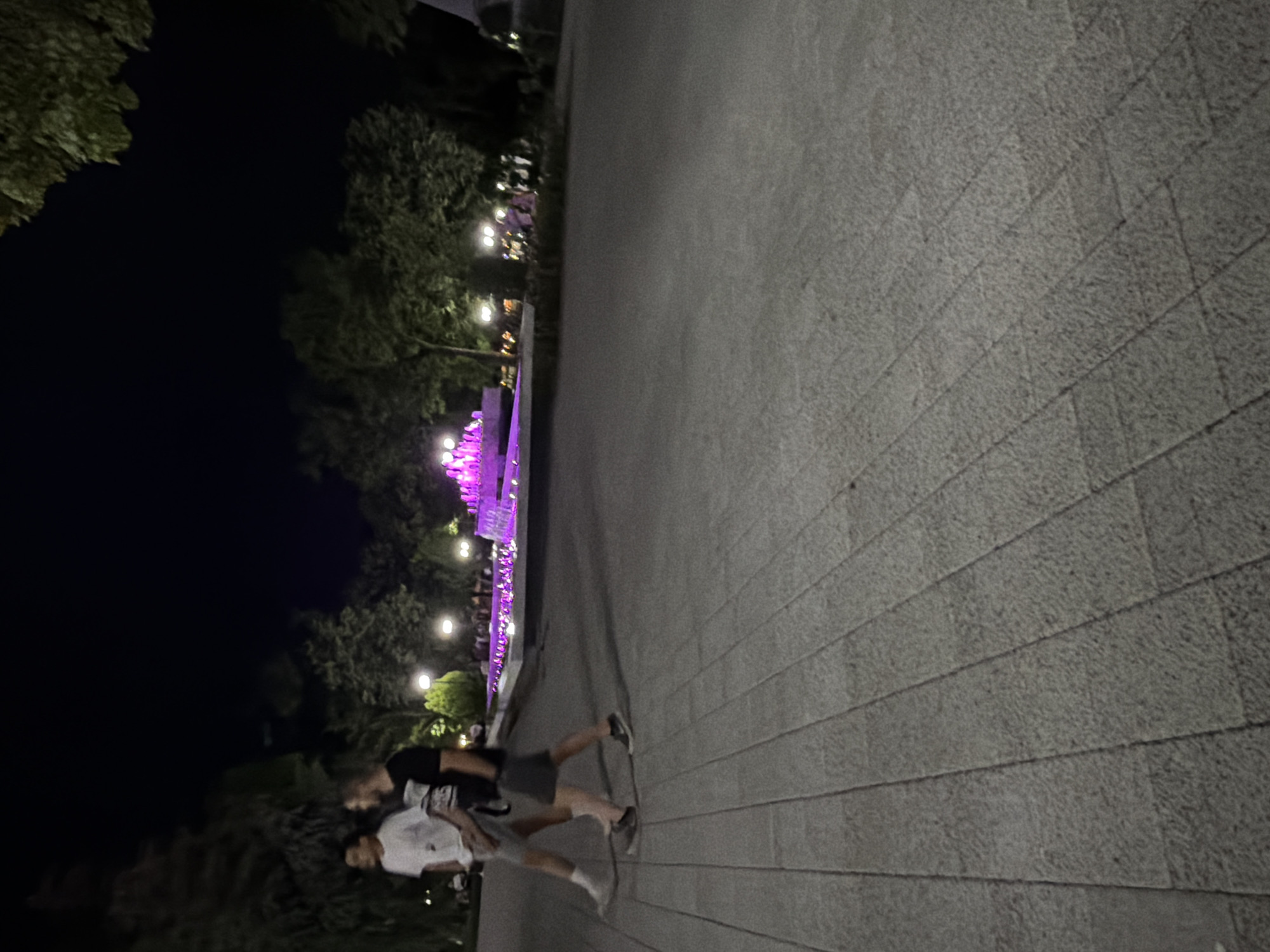 Two men are walking on a paved walkway in a park at night. The man on the left is wearing a white t-shirt and grey shorts, while the man on the right is wearing a black t-shirt and grey shorts. In the background, there is a fountain with purple lights and trees. The scene appears to be in the city of Stara Zagora, Bulgaria, likely in a park area with a water feature. The lighting suggests it is after dark.