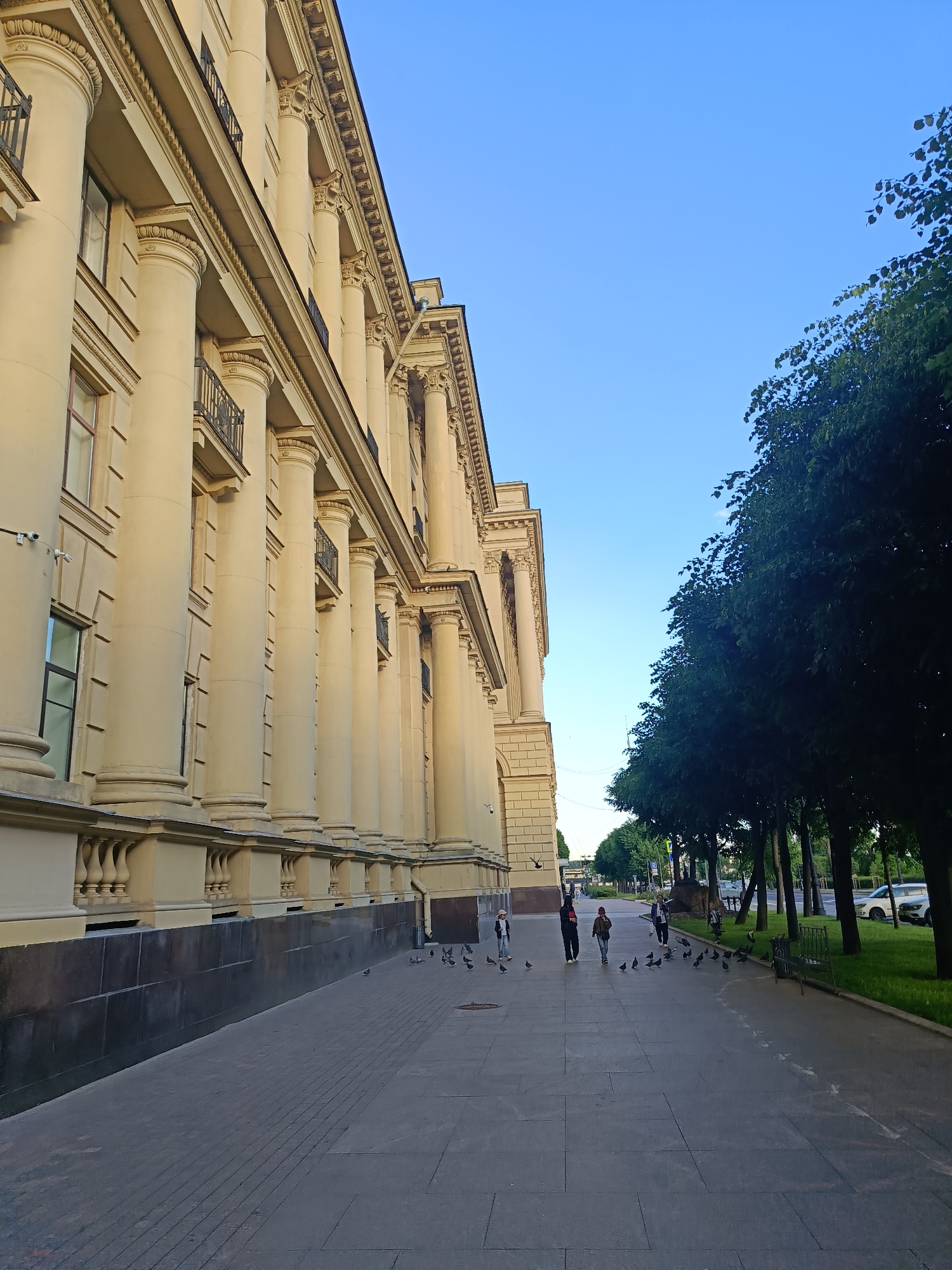The image depicts a street scene in Saint Petersburg, Russia. On the left, a large, classical-style building with a beige facade and prominent Corinthian columns lines the street. The building features multiple stories with regularly spaced windows and balconies. A paved sidewalk runs along the front of the building.
On the right side of the image, a line of mature green trees creates a distinct boundary between the sidewalk and a grassy area. Beyond the trees, a road is visible with parked cars, including a white sedan. The sky is a clear, bright blue.
Several people are walking on the sidewalk, appearing to be in casual attire. A group of pigeons is scattered across the sidewalk, some pecking at the ground. The overall impression is a well-maintained urban environment with elements of neoclassical architecture and abundant greenery.
