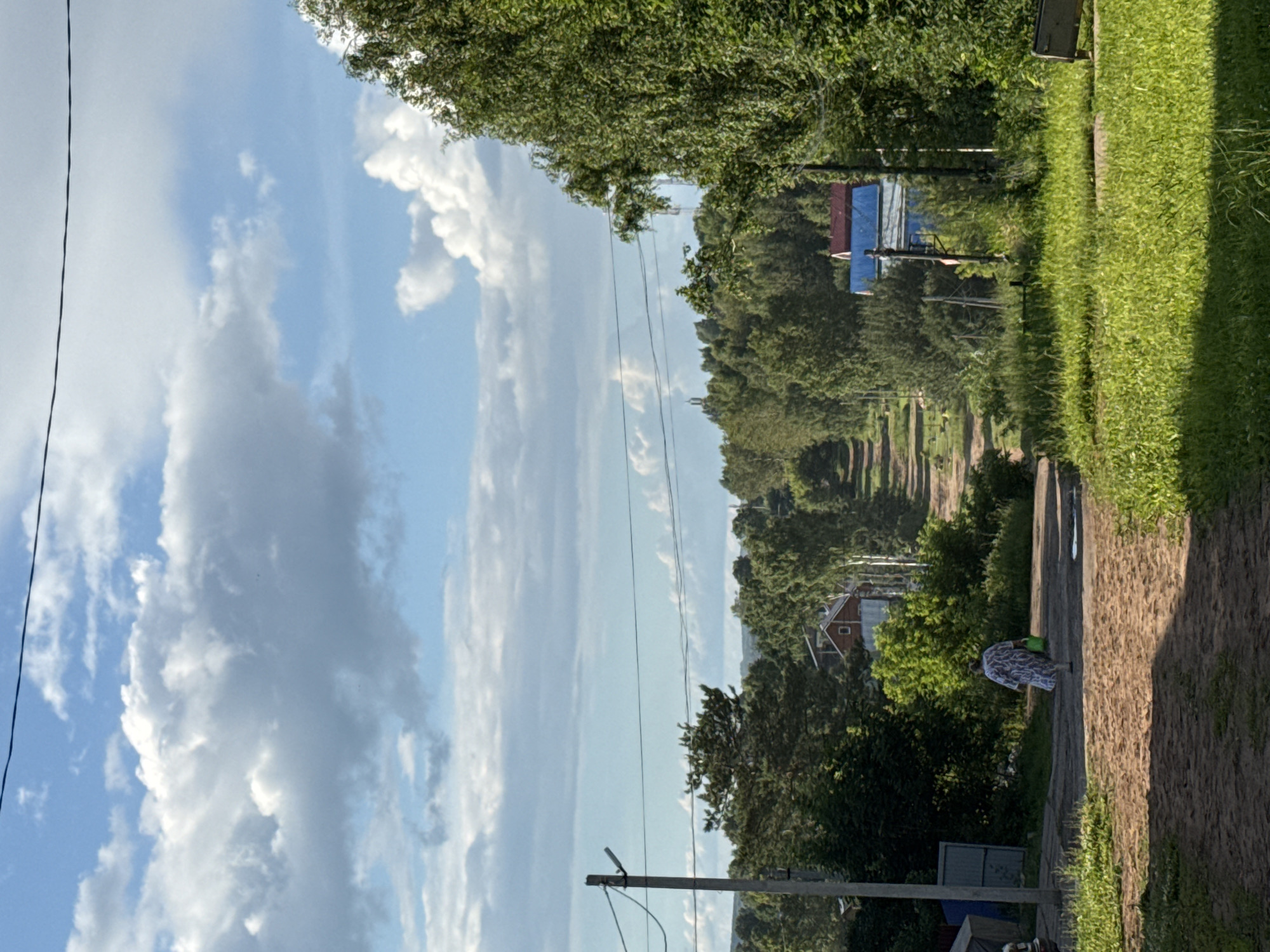 The image shows a rural scene in Votkinsk, Russia. The photo is oriented vertically. A dirt path runs diagonally from the bottom right corner into the distance, bordered by lush green grass on the right and trees on the left. In the distance, a row of trees lines both sides of the path, creating a tunnel-like effect. A few buildings, including a red-roofed house with white trim, are visible amongst the trees.
In the foreground on the right side of the path, a person is bent over, appearing to be gardening or tending to the plants. They are wearing a patterned dress and holding a green bucket. A power line runs across the frame from left to right, supported by a wooden pole. The sky is a vibrant blue with scattered white clouds. The lighting suggests it is daytime, likely late morning or early afternoon, with the sun casting shadows on the path. The overall atmosphere is peaceful and bucolic, typical of a summer day in a rural area. No text is visible in the image.