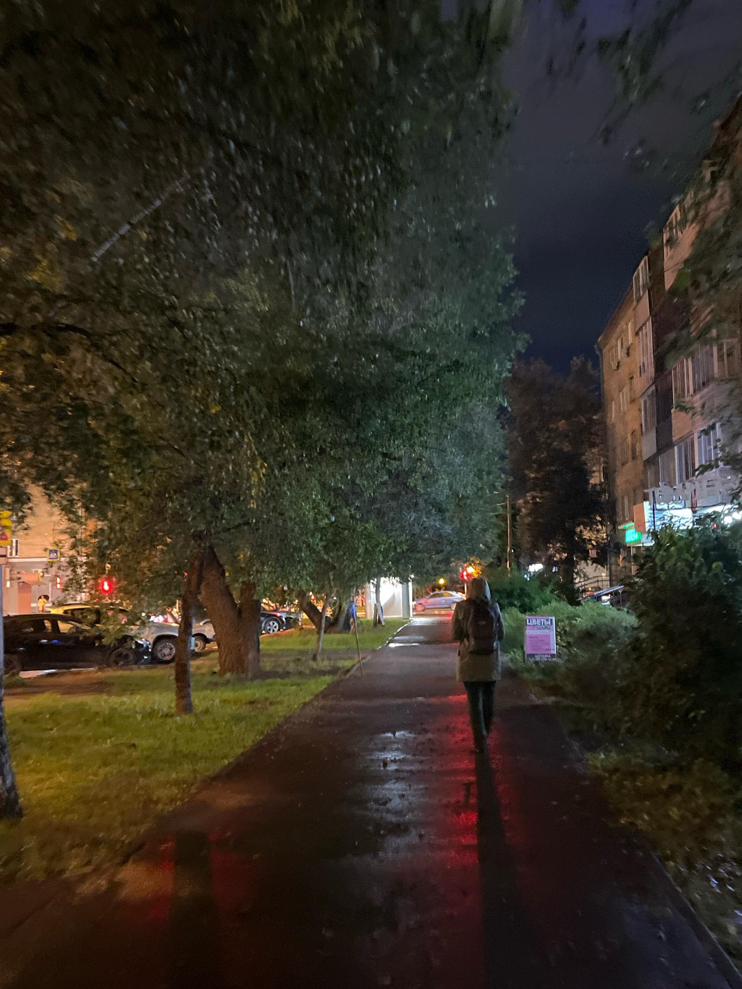 The image depicts a nighttime scene on a sidewalk in the city of Krasnoyarsk, Russia. A person wearing a light-colored jacket and a backpack is walking away from the camera on a wet, paved sidewalk. The sidewalk is lined with trees on the left and a building on the right. There are cars parked along the street to the left of the sidewalk, and some streetlights illuminate the scene. The overall atmosphere is dark and slightly gloomy, suggesting it may have rained recently or is about to rain. A sign with Russian text, likely advertising flowers, is visible near the building.