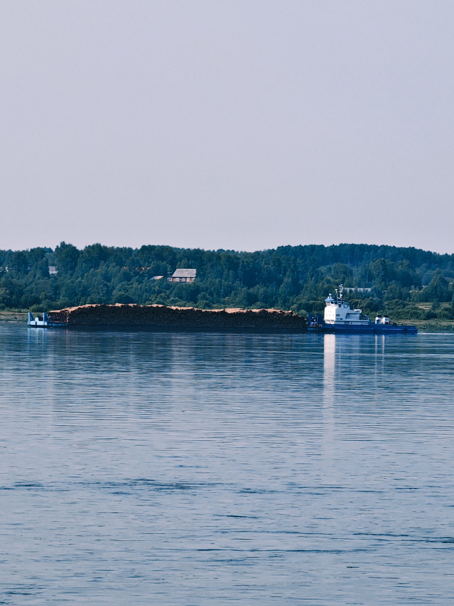 A barge laden with logs is being pushed by a tugboat on the water. The barge is a long, flat-bottomed vessel, and it is filled with a large quantity of cut timber. The tugboat is a smaller, more powerful vessel designed for towing and pushing. It is positioned at the rear of the barge, and its propeller is visible, churning the water as it propels the barge forward. The scene is set against a backdrop of lush green trees on the far bank of the river, with a few buildings nestled among the foliage, suggesting a rural or semi-rural setting. The water is calm with gentle ripples, and the sky is a pale, clear blue, indicating fair weather. The image appears to capture a moment of industrial activity taking place on a tranquil waterway, likely in the region of Novonazimovo, Russia, given the context.
