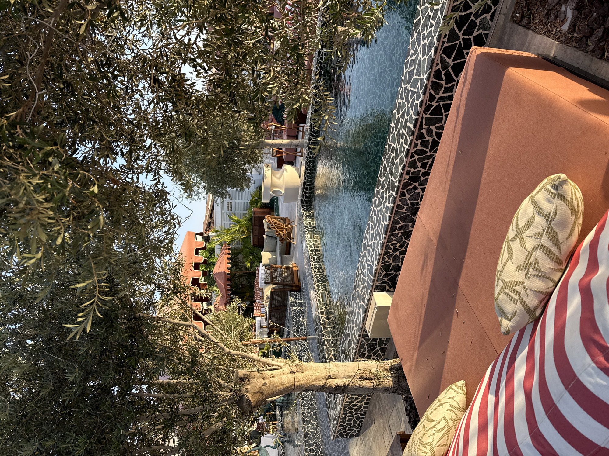 The image depicts an upscale outdoor leisure area, likely a restaurant or resort pool lounge, illuminated by the natural light of a clear day, possibly late afternoon. The setting is Dubai, United Arab Emirates.
In the foreground, a plush, red-brown lounge bed with patterned beige and olive-toned cushions is visible. A red and white striped cushion or umbrella provides an additional splash of color.
The central feature is a rectangular swimming pool with clear, blue-green water. The pool's edge and the adjacent walkway are adorned with a distinctive black and white mosaic tile pattern, creating an intricate and modern aesthetic.
Mature olive trees, with their characteristic gnarled trunks and silvery-green foliage, frame the left side of the scene, adding natural beauty and dappled shade. Beyond the pool, a meticulously arranged dining or lounging area features wooden chairs, tables, and a large, decorative white urn. Another large, dark red sun umbrella with a scalloped edge is visible further back, indicating additional seating or dining areas.
In the background, a white building with shuttered windows stands. On one of the shutters, the text "MİSİNA RESTAURANT" is clearly visible, identifying the establishment as a restaurant. The overall impression is one of tranquility, luxury, and meticulous design, geared towards relaxation and dining in a sophisticated outdoor environment. No people are visible, emphasizing the serene atmosphere of the space.
