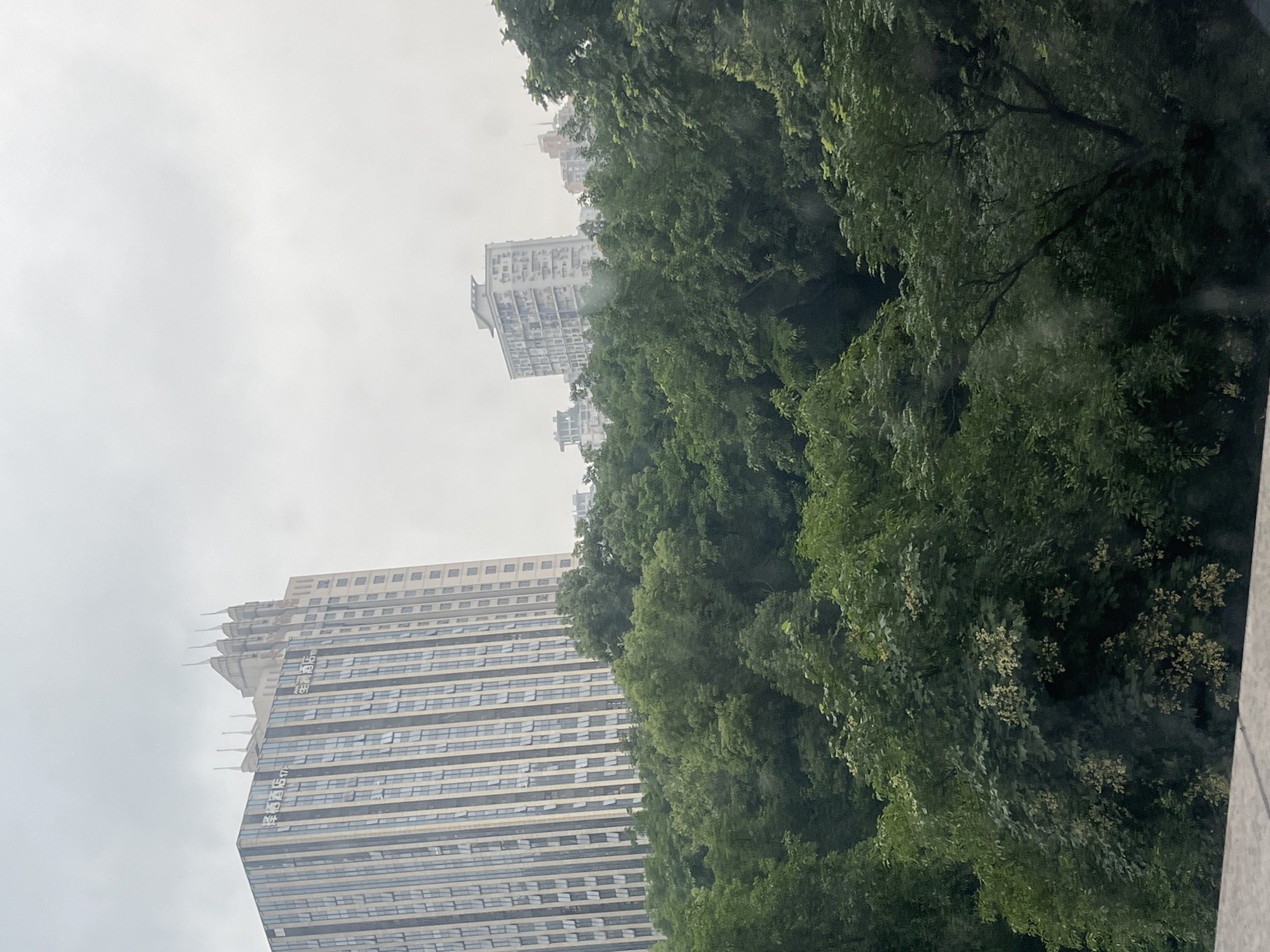The image captures a view from a high vantage point overlooking a dense canopy of green trees. In the background, several tall buildings rise above the foliage. The most prominent building, on the left, is a modern skyscraper with a glass facade featuring vertical blue and gray stripes. Text is visible on its upper section, reading "君悦酒店" and "君悦酒店17". To the right of this skyscraper, another taller building with a distinctive stepped, pointed roofline is visible, also bearing text. Further in the background, a cluster of residential buildings with numerous windows can be seen, partially obscured by the trees and the hazy, overcast sky. The overall impression is an urban landscape with significant green space, likely taken on a cloudy day in Yuzhong District, China.