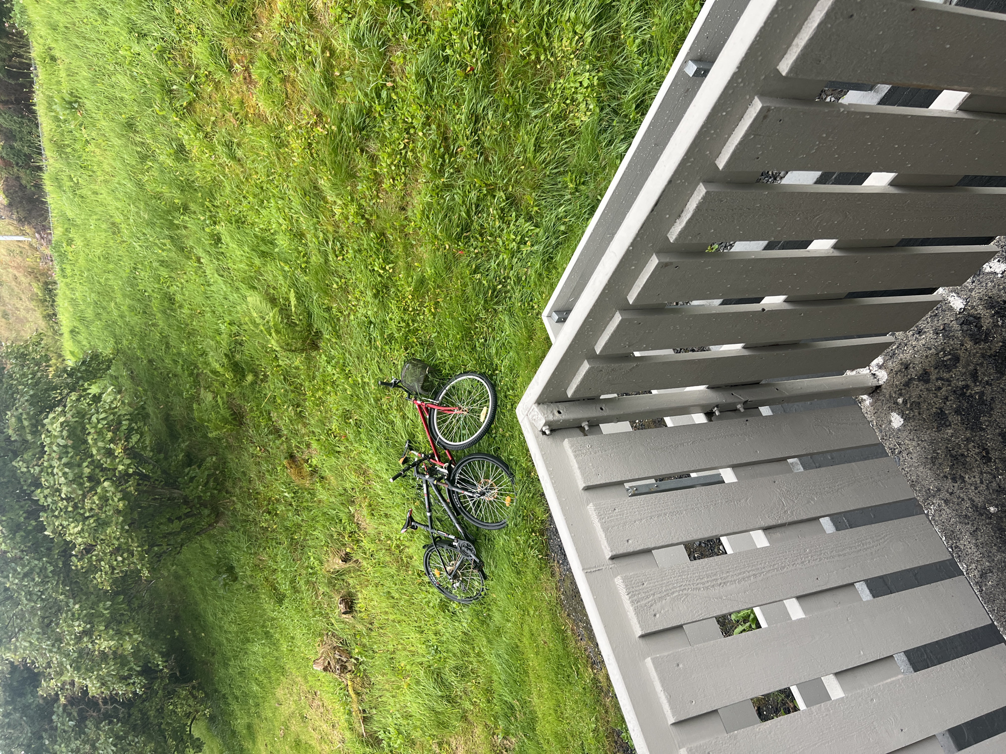Two bicycles are lying on a grassy slope. One bicycle is black and the other is red. Both bicycles are upright, with their wheels pointing upwards. The black bicycle is on the left, and the red bicycle is on the right. The bicycles are in the city of Fosnavåg, Norway. The grassy slope is covered in green grass and some scattered vegetation. The sky is overcast. In the foreground, there is a wooden fence, which appears to be part of a balcony or deck. The fence is painted a light gray color.