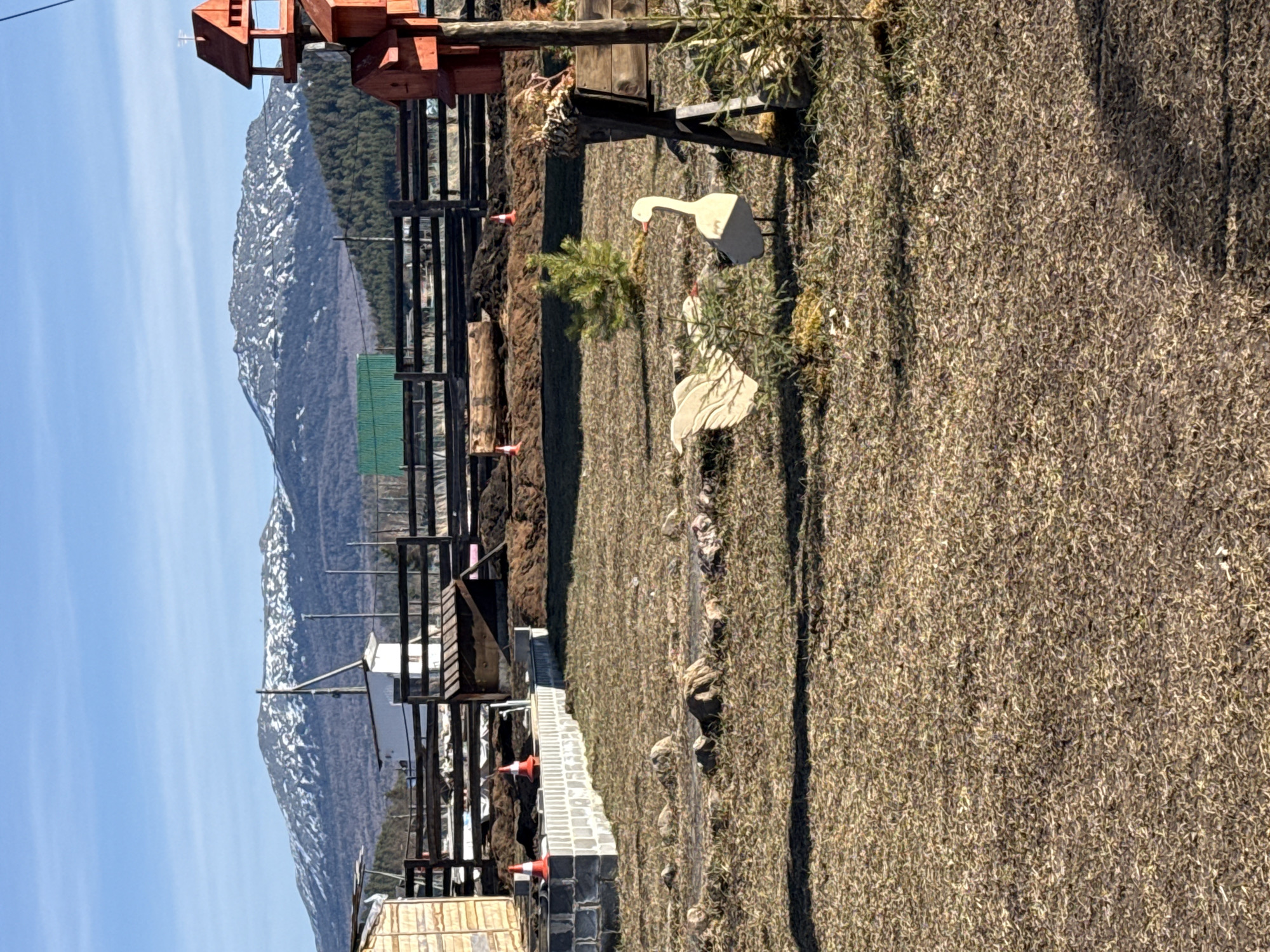 The scene depicts a yard, likely in Tyulyuk, Russia, given the presence of a mountain range with snowy peaks visible in the background. The yard features dry, brownish grass covering a significant portion of the area. A wooden fence, seemingly part of a structure, borders the yard. Decorative wooden bird sculptures are also placed in the yard, adding to the outdoor setting. Other objects visible include a red birdhouse, wooden structures, and possible landscaping features.