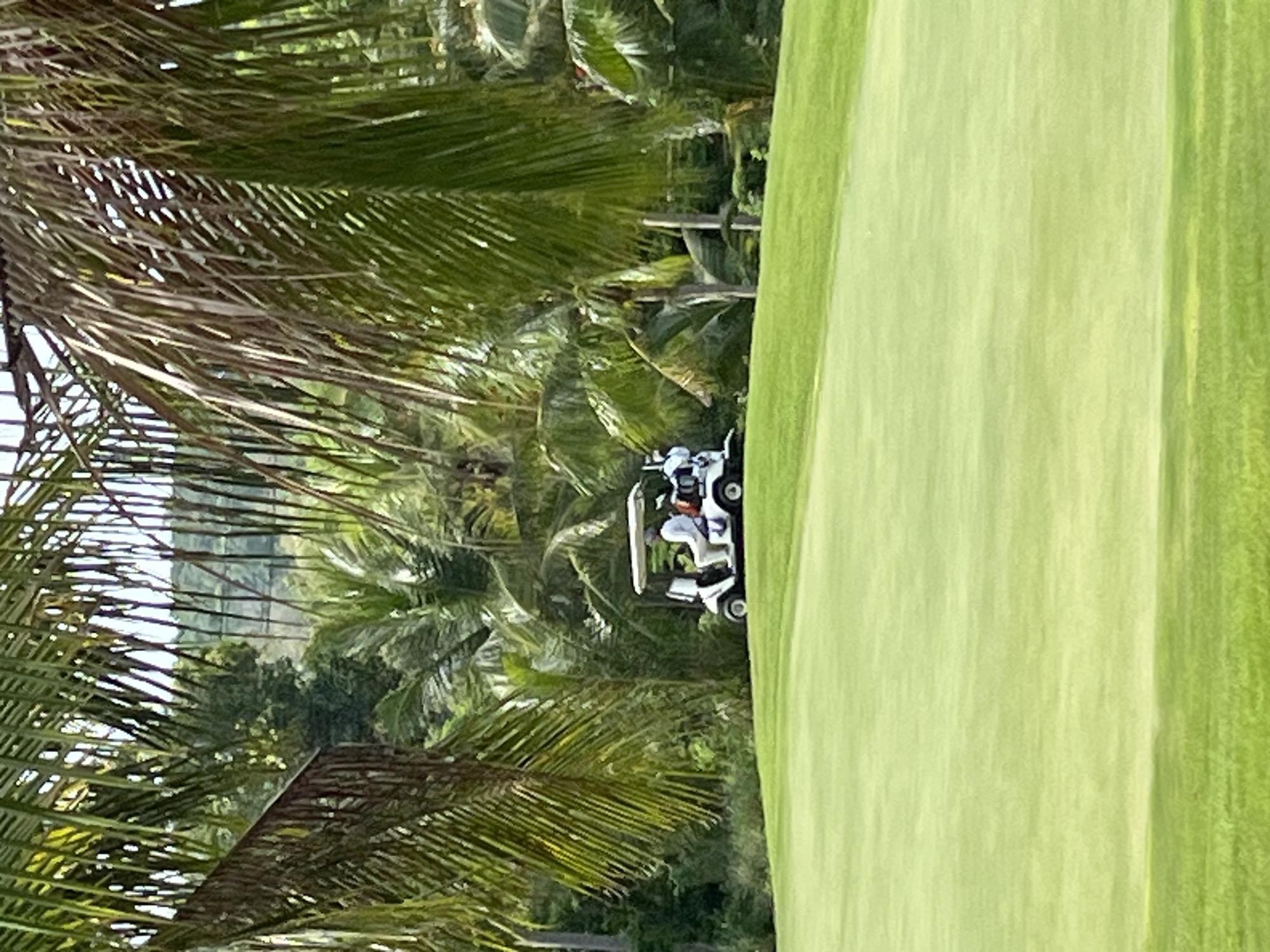 The image depicts a golf course in Phu Thuy Ward, Vietnam, under a bright, sunny sky. In the mid-ground, a white golf cart with a canopy is driven by two individuals. The driver, wearing a light-colored shirt and a hat, is visible from the side. The cart is positioned on a verdant, rolling green. In the background, lush tropical foliage, including palm trees and dense green vegetation, forms a natural backdrop. The foreground is dominated by a meticulously manicured, vibrant green golf putting green, with subtle undulations. The scene conveys a sense of leisure and recreation amidst a tropical environment.