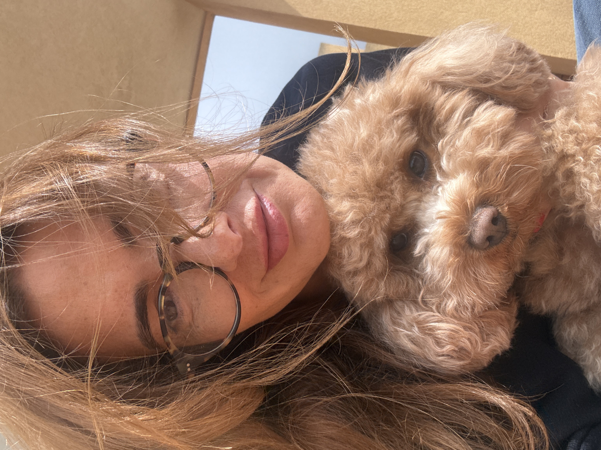 A warm and intimate selfie captures a woman and her small, light brown, curly-haired dog cuddling together in Vila Nova de Gaia, Portugal. The image is oriented sideways, showing the woman lying horizontally with her head resting, and the dog's head tucked closely beside her cheek and shoulder.
The woman has long, light brown hair that frames her face. She wears glasses with dark, possibly tortoiseshell, frames, and one eye is visible behind the lens. Her lips are slightly parted, and her skin appears fair with some freckles. She is wearing a dark-colored top. The dog, likely a poodle or doodle, has soft, curly apricot-colored fur, dark expressive eyes, and a small dark nose. A hint of a red collar is visible around its neck. Both subjects are looking towards the camera, conveying a sense of comfort and affection.
The background suggests an indoor or covered outdoor setting, with a light brown wall or ceiling and a bright blue sky visible through an opening or window. The scene is illuminated by natural, bright daytime light. No text is visible in the image.
