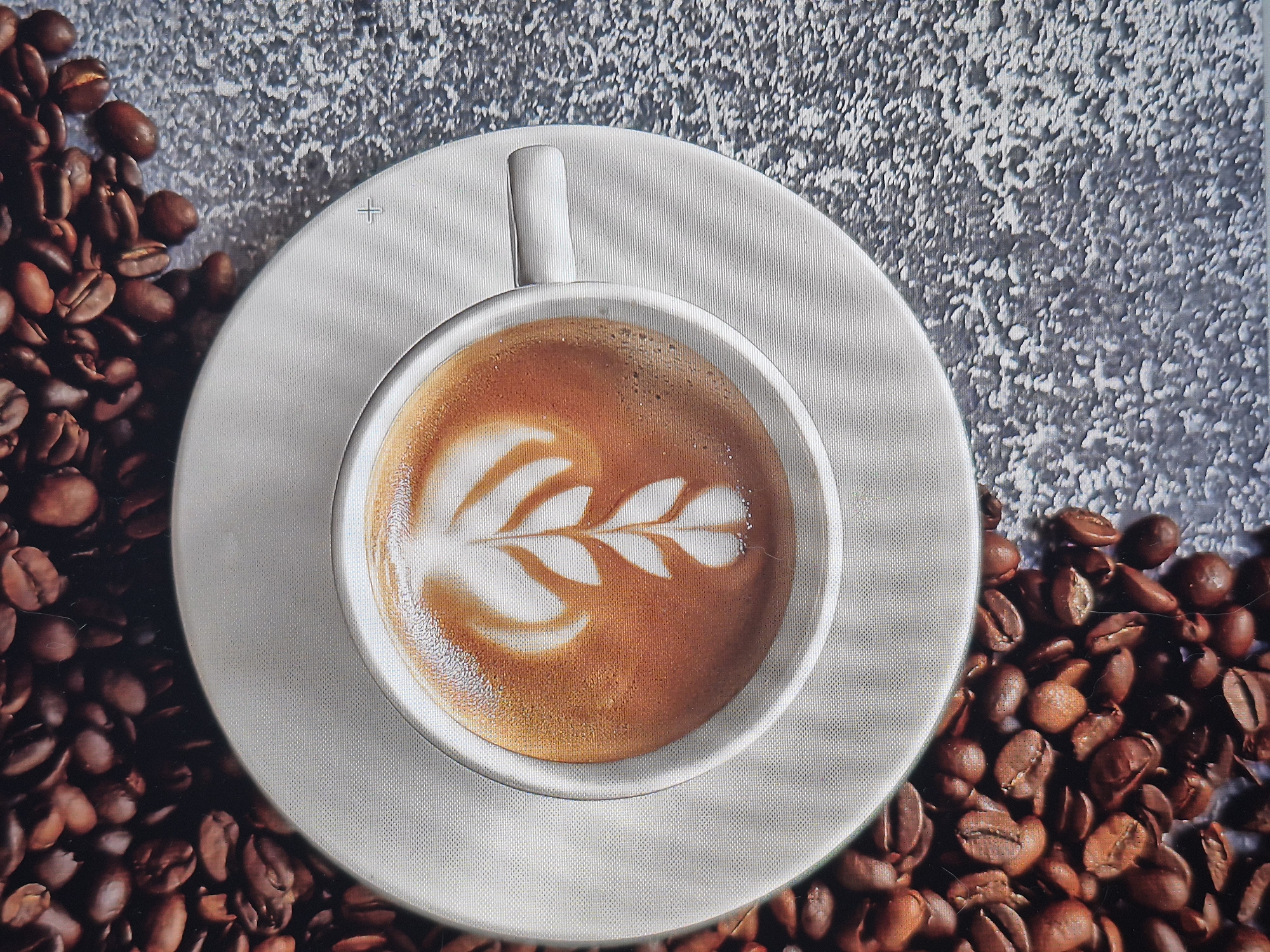 The image displays a close-up of a coffee cup with latte art, positioned on a saucer. The cup and saucer are white and appear to be made of ceramic. The latte art on the coffee features a symmetrical, leaf-like design in white foam against the brown coffee. Surrounding the saucer are numerous roasted coffee beans, scattered across a textured, greyish surface that resembles speckled stone or concrete. The lighting appears to be natural, casting subtle shadows. The scene is static, with no visible people or actions. There is no discernible location in Schwäbisch Gmünd, Germany depicted in this image.