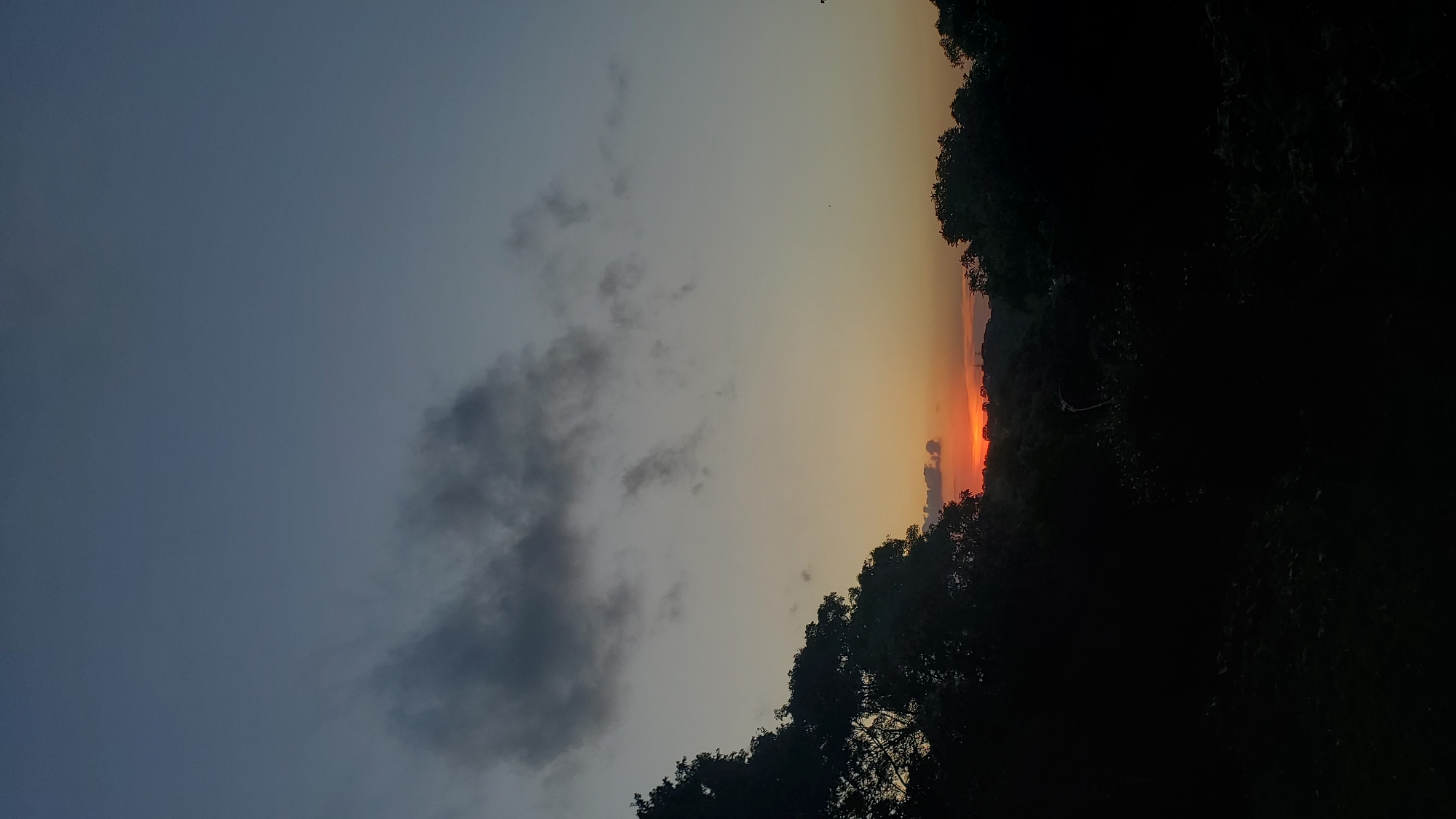 The image displays a wide-angle shot of a sunset over a natural landscape in Curitiba, Brazil. The sky dominates the upper two-thirds, exhibiting a gradient from a dark blue-grey at the zenith to a warm orange and red glow at the horizon, indicative of the setting sun. Several dark, amorphous cloud formations are present in the upper left quadrant. The sun, a distinct orange-red orb, is visible just above the horizon, partially obscured by distant topography or vegetation. The lower third of the image is characterized by dense, silhouetted foliage and trees, appearing nearly black due to backlighting from the sunset. Faint, indistinct dark structures, possibly buildings or towers, are discernible on the distant horizon line against the illuminated sky, suggesting an urban periphery beyond the immediate natural environment. No people or animals are visible.
