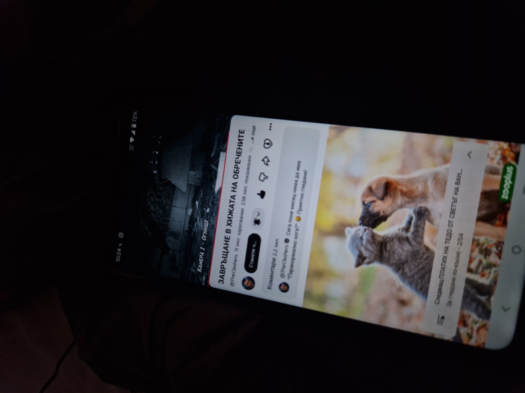 The image is a close-up shot of a smartphone screen displaying a YouTube video. The video appears to be titled "ЗАВЪРЩАНЕ В ХИЖАТА НА ОБРЕЧЕНИТЕ" (Return to the Cabin of the Doomed). Below the title, it shows the uploader is "@TheClashers" with 11 thousand subscribers and 238 thousand views. There are interaction buttons for likes, dislikes, sharing, and saving, as well as a comment count of 2.2 thousand. A comment from "@TheClashers" reads "Сега поне месец няма да има 'Паранормално кога?'" (Now for at least a month there won't be 'Paranormal when?'). The video thumbnail shows a kitten and a puppy interacting. Further down the screen, a caption reads "Следващ: ПЛАТИХ НА ТЕДО ОТ СВЕТЪТ НА ВАН..." (Next: I PAID TEDO FROM THE WORLD OF VAN...). At the bottom of the screen, the "zooplus" logo is visible. The time on the phone is 10:24. The phone's battery is at 72% and shows LTE connectivity. The background is dark, suggesting the photo was taken in low light conditions. The image does not provide any information about the city of Lovech, Bulgaria.