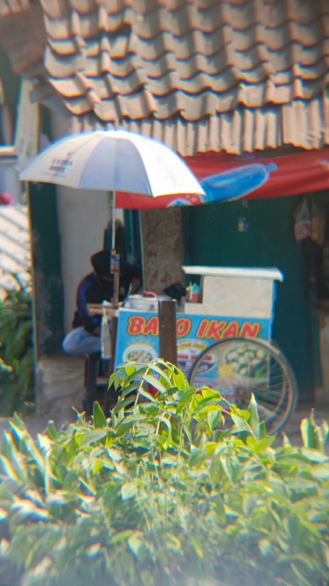 The image captures a street scene in Margajaya, Indonesia, focusing on a food stall under a striped umbrella. A person, partially obscured by the stall, is seated behind it, appearing to be engaged in preparing food. The stall itself is bright blue with red lettering that reads "BA O IKAN," suggesting it sells fish-related food items. A bicycle wheel is visible behind the stall, indicating the mobile nature of the vendor. In the foreground, lush green foliage partially obstructs the view, adding a natural element to the urban setting. The background features a building with a tiled roof, typical of Indonesian architecture. The overall atmosphere suggests a bustling local market or street food area.