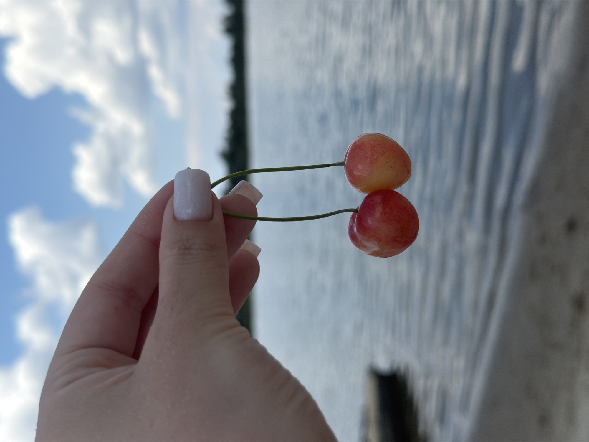 A person's hand holds two cherries by their stems against a blurred background of a body of water and a cloudy sky. The cherries are round and have a reddish-pink hue, with one being slightly larger and more yellow than the other. The hand has light skin and is painted with a light-colored nail polish. The water appears calm, with gentle ripples. The shoreline is visible in the foreground, with sand and some dark objects in the water. The sky is a bright blue with scattered white clouds. The overall scene suggests an outdoor setting, possibly near a lake or river.