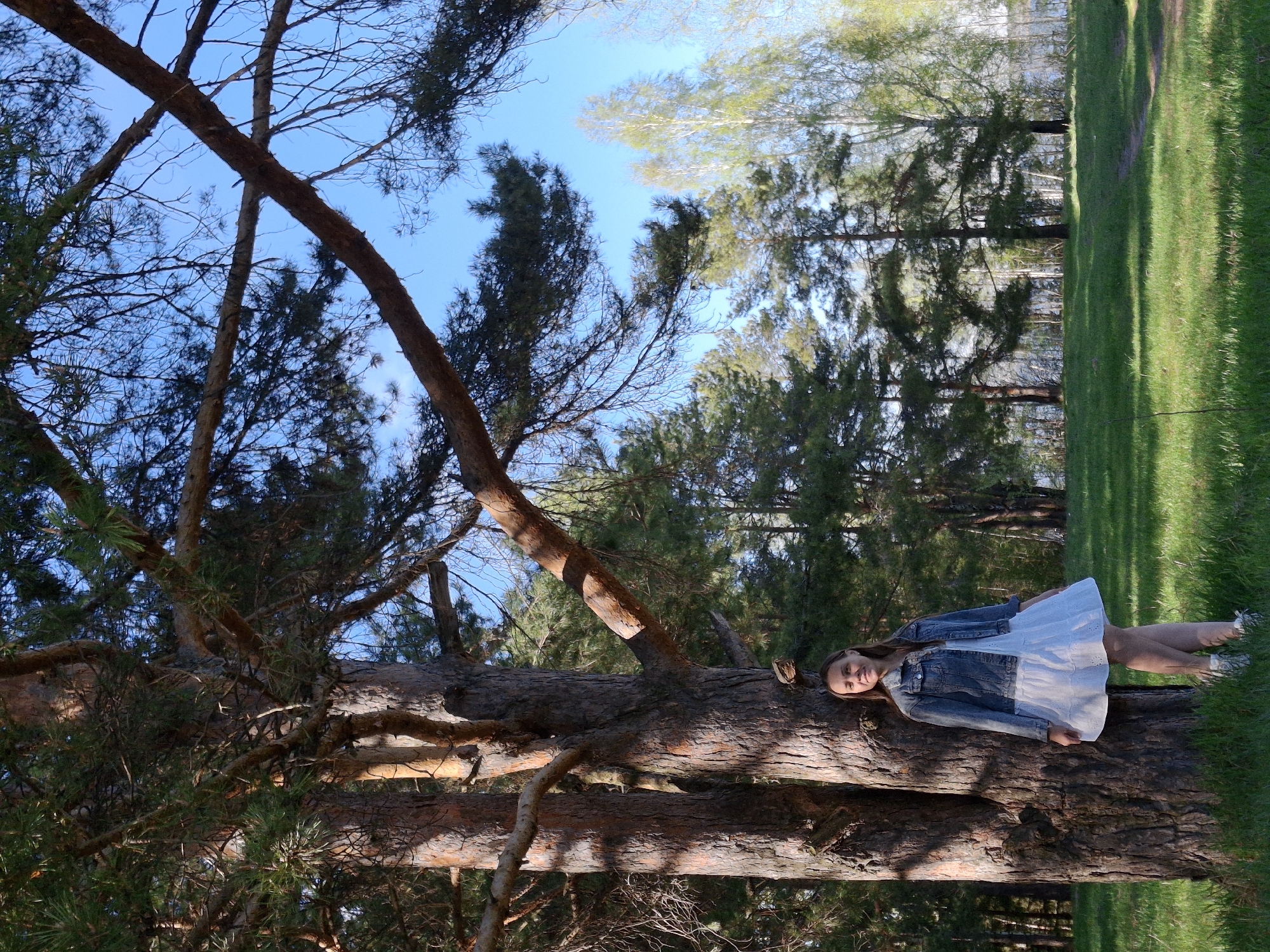 A young woman in a white dress and denim jacket lies horizontally on a large tree trunk, resting her head on the bark. The scene takes place in a wooded area, possibly a park. To the right of the tree trunk, a grassy area stretches toward a line of trees in the background. Above and around the tree trunk, the sky is visible through the branches of other trees. The location is Chaikovsky, Russia.