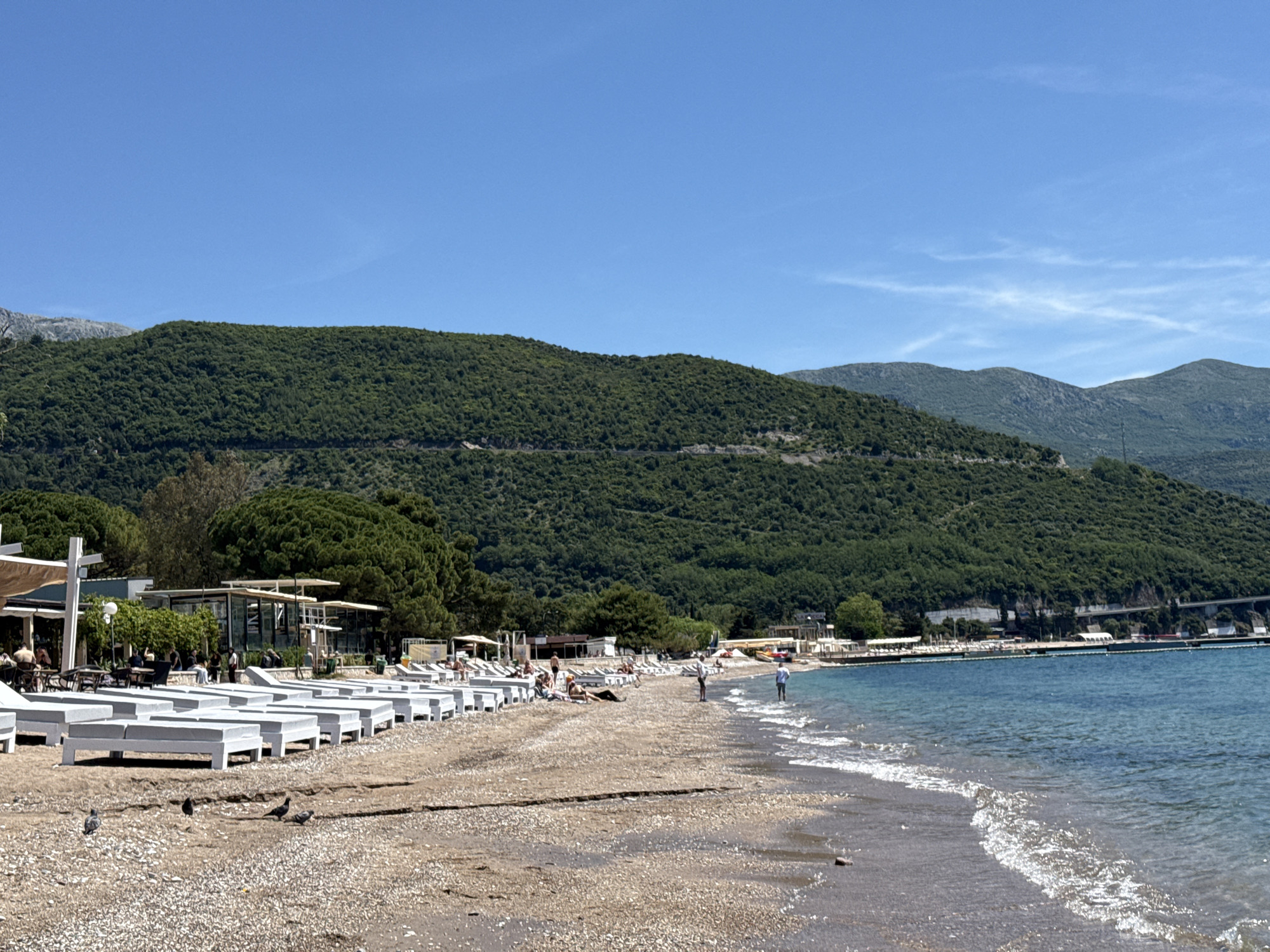 The image depicts a beach scene in Budva, Montenegro, under a clear blue sky with wispy clouds. The shoreline is populated with rows of empty white sun loungers, interspersed with scattered beachgoers. The beach is sandy and pebbly, with visible wave action along the water's edge.
In the background, a densely forested mountain slopes upwards. Closer to the shoreline, there are several modern, open-air structures that appear to be beachside restaurants or cafes, with people seated at tables. Individuals can be seen strolling along the beach, near the water. A series of structures and a bridge are visible along the distant shoreline towards the right of the frame. A few pigeons are visible in the foreground.