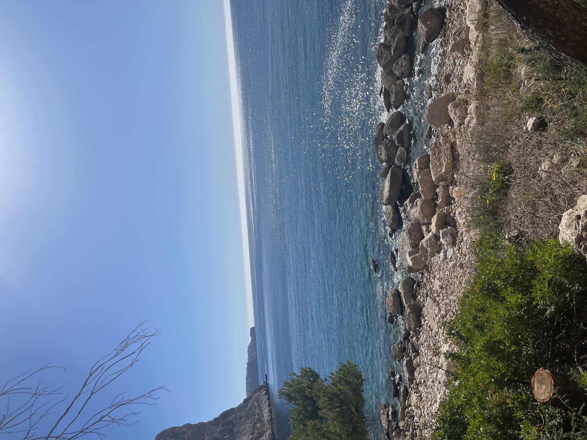 This photograph captures a coastal scene at el Poble Nou de Benitatxell / Benitachell, Spain. The landscape consists of a rocky shoreline meeting the turquoise sea under a clear, pale blue sky. Sunlight reflects off the water, creating sparkling highlights. Vegetation, including green bushes and dry plants, covers the ground alongside the rocks. In the distance, a rocky cliff extends into the sea. Bare branches of a tree are visible in the lower left corner. A fresh cut on a tree stump is visible in the lower right corner.