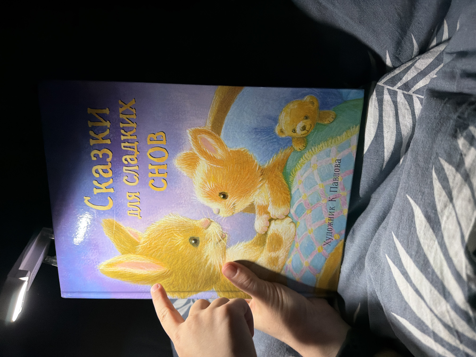 A hand is holding open a children's book titled "Сказки для сладких снов" (Fairy tales for sweet dreams), which features illustrations of two kittens and a teddy bear. The book is illuminated by a small clip-on reading light. The scene is set in a dark environment, possibly a bedroom at night, with a portion of a person's arm and fingers visible. The background is dark, with only the book and the light source being clearly illuminated. The text on the book is in Russian. The location of Khabarovsk, Russia, is not depicted or implied in the image.