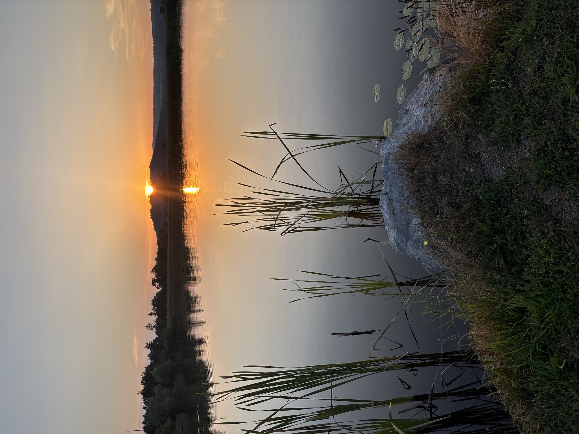 This is a vertical, eye-level, full shot of a tranquil lake at sunset in Skalsko, Bulgaria. The sun, a bright orange orb, is setting behind a distant hill, casting a warm glow across the sky and reflecting on the still water. Tall reeds grow in clusters in the foreground, their green stalks contrasting with the muted colors of the landscape. A large, grey rock sits on the edge of the water, surrounded by dry grass and green foliage. The water is calm, with a few lily pads floating near the reeds. The reflection of the sunset and the reeds on the water adds depth and serenity to the scene.