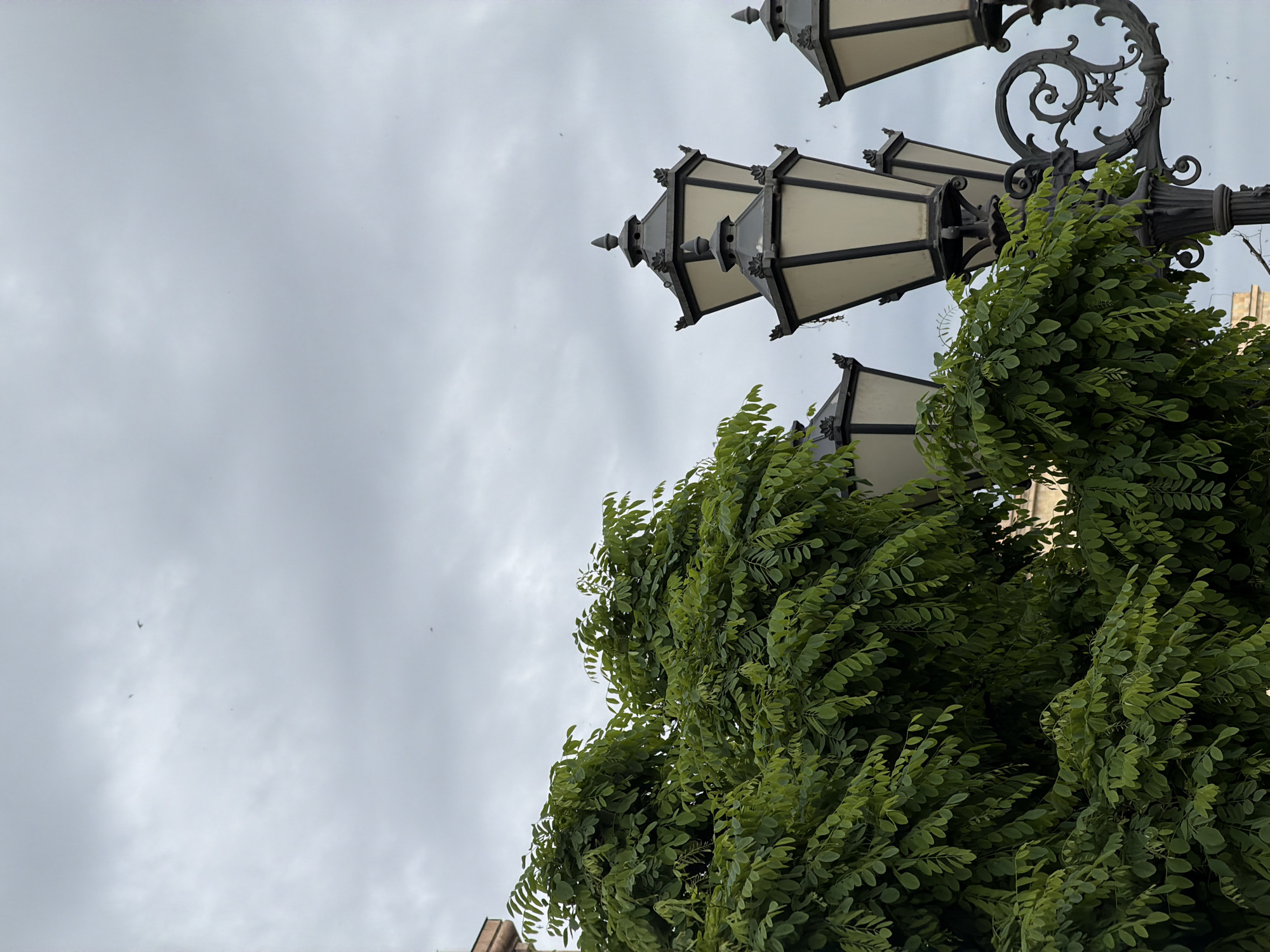 The image, taken from a low angle, captures a street scene in Yerevan, Armenia, featuring a multi-tiered, ornate, black metal lamppost with several lantern fixtures. The lanterns are white or off-white with a black frame. A large, leafy green tree partially obscures the lamppost. The background is dominated by an overcast sky. The scene appears to be a public space.