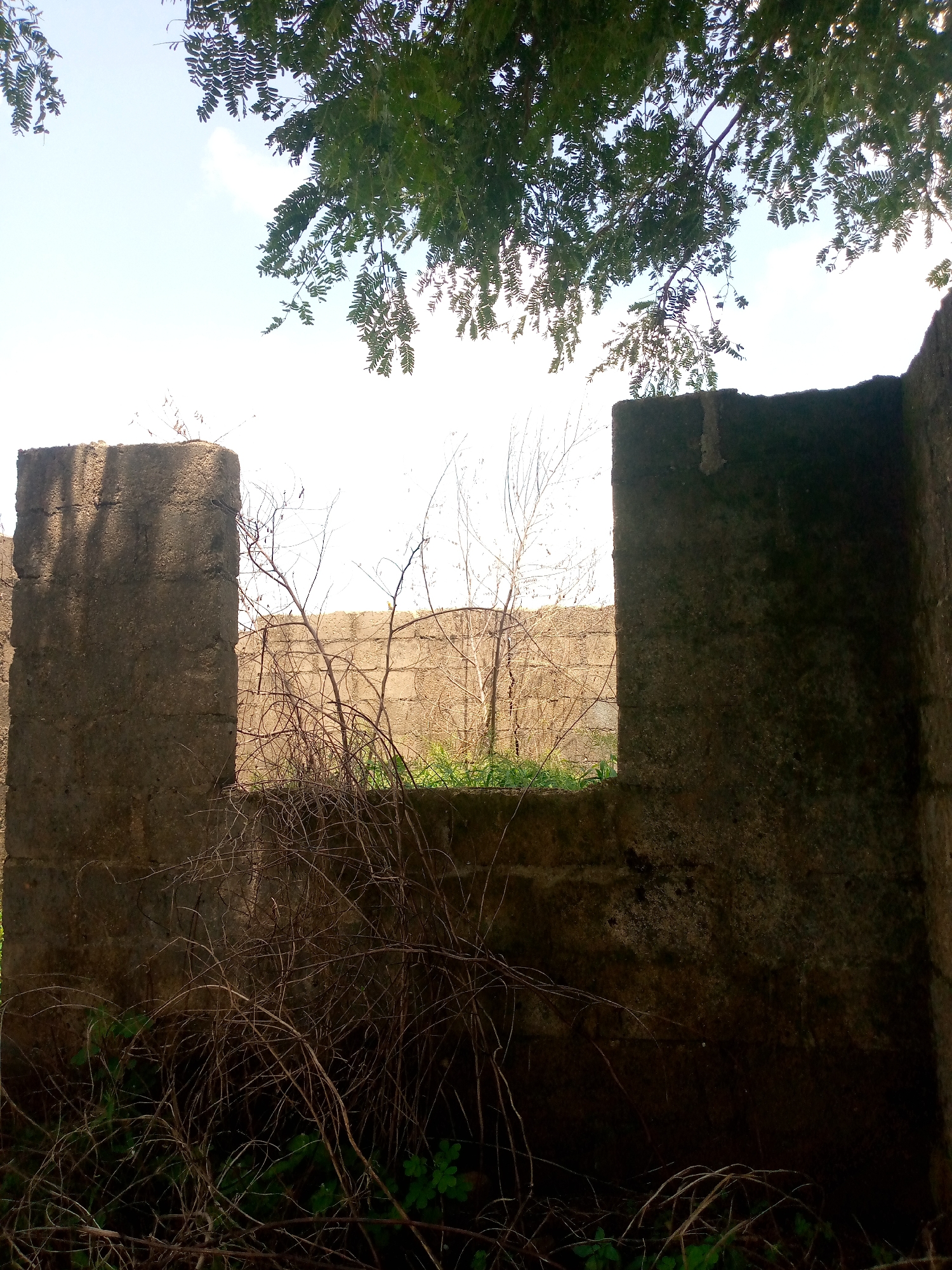 The image depicts a partially constructed or ruined building made of concrete blocks, located in Jauro Yinu, Nigeria. The foreground features dry, thorny branches and some green foliage. Two concrete pillars are visible, creating an opening that looks out onto a wall constructed from concrete blocks. The sky is visible through the opening, with foliage from a tree hanging from the top of the frame. The overall impression is one of abandonment and neglect.