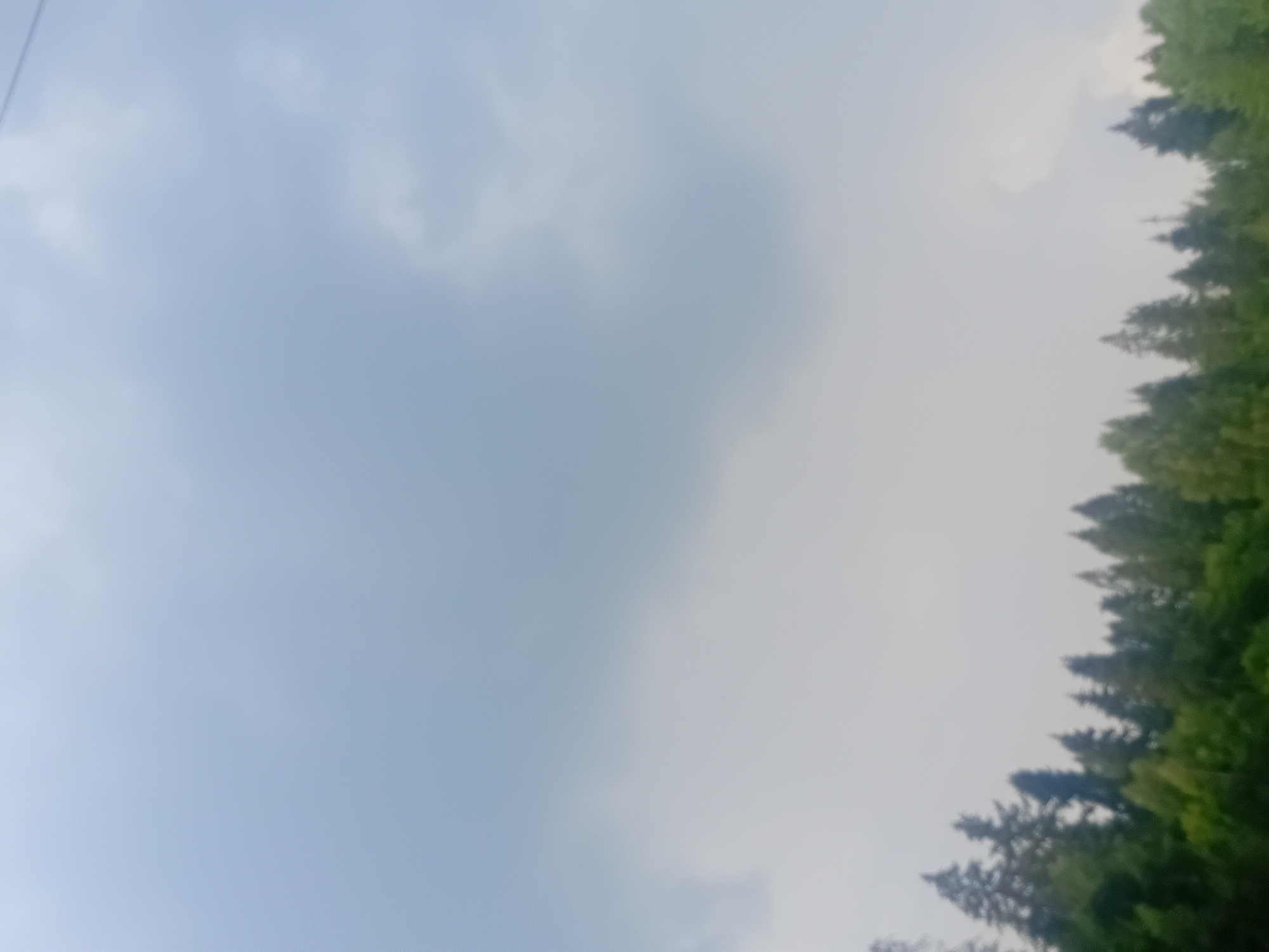 A blurry, wide-angle shot captures a cloudy sky above a dense forest canopy. The sky takes up the majority of the frame, filled with light gray and white clouds. The lower portion of the image shows the tops of numerous evergreen and deciduous trees, predominantly green with some darker, pointed shapes of conifers. The image lacks any discernible human presence or specific landmarks that would indicate a particular location within Verkhniachka, Ukraine. The overall impression is a natural, undeveloped landscape under overcast weather conditions.
