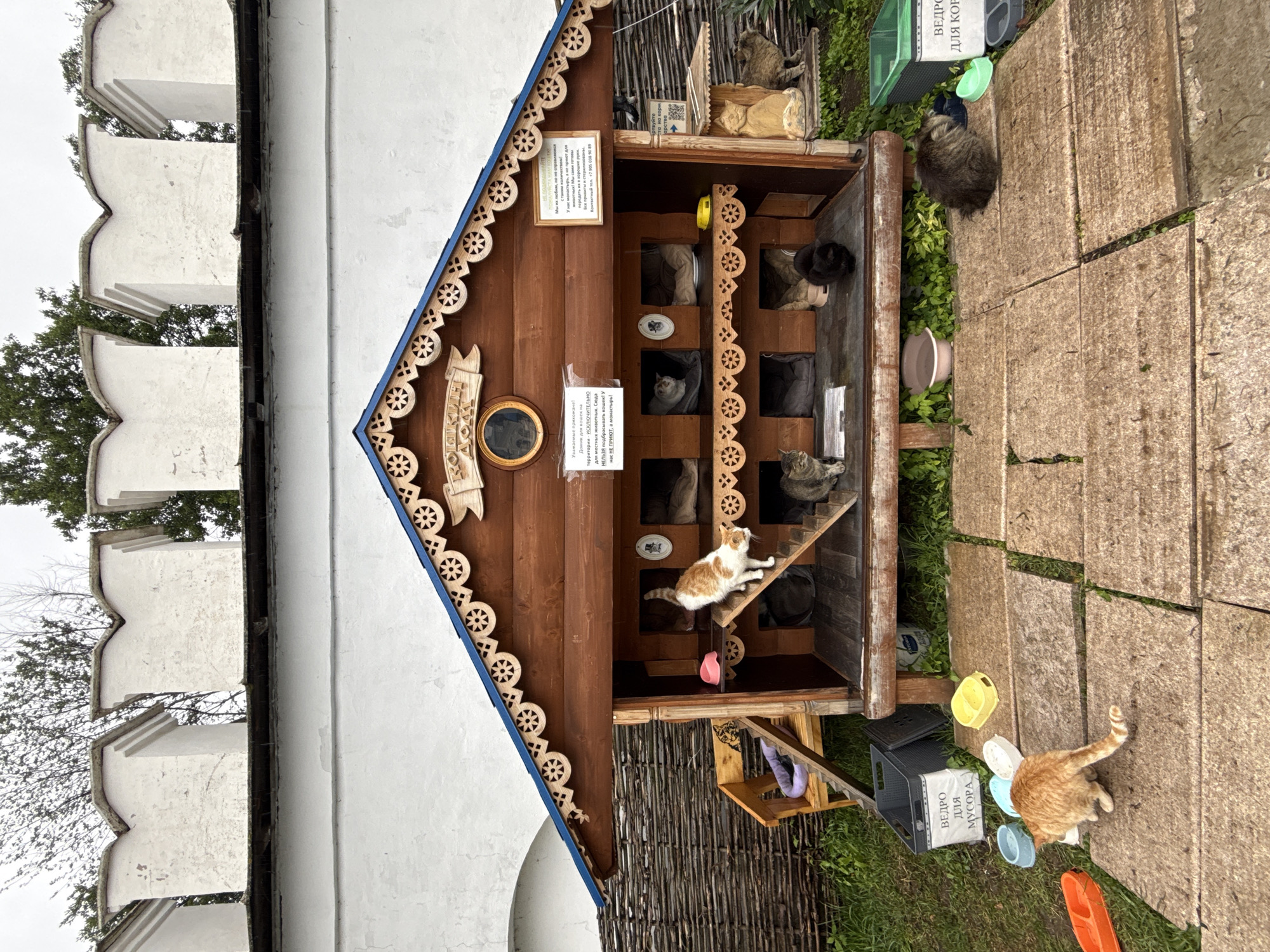 The image shows an outdoor cat shelter located in the vicinity of the Raifa Monastery in Russia. The shelter is a multi-tiered wooden structure with individual cubbies for cats. Several cats are visible: an orange and white cat is on a ramp inside the shelter, a gray tabby cat is near the bottom left of the shelter, a black cat is in a lower cubby, and a fluffy gray cat is sitting in front of a green bin on the right. Another cat is seen walking on the stone pathway in the foreground. Various cat bowls and two grey plastic bins, one labeled "BEDRO DLIA MUCCOPA" (Trash Bin) and another labeled "BEDRO DLIA KOPMA" (Food Bin), are present on the ground. A wooden bench with a purple toy is situated to the left of the shelter, and a woven wooden fence forms the background. Above the shelter, the white wall of the Raifa Monastery with distinctive crenellations is visible. The sky is overcast.