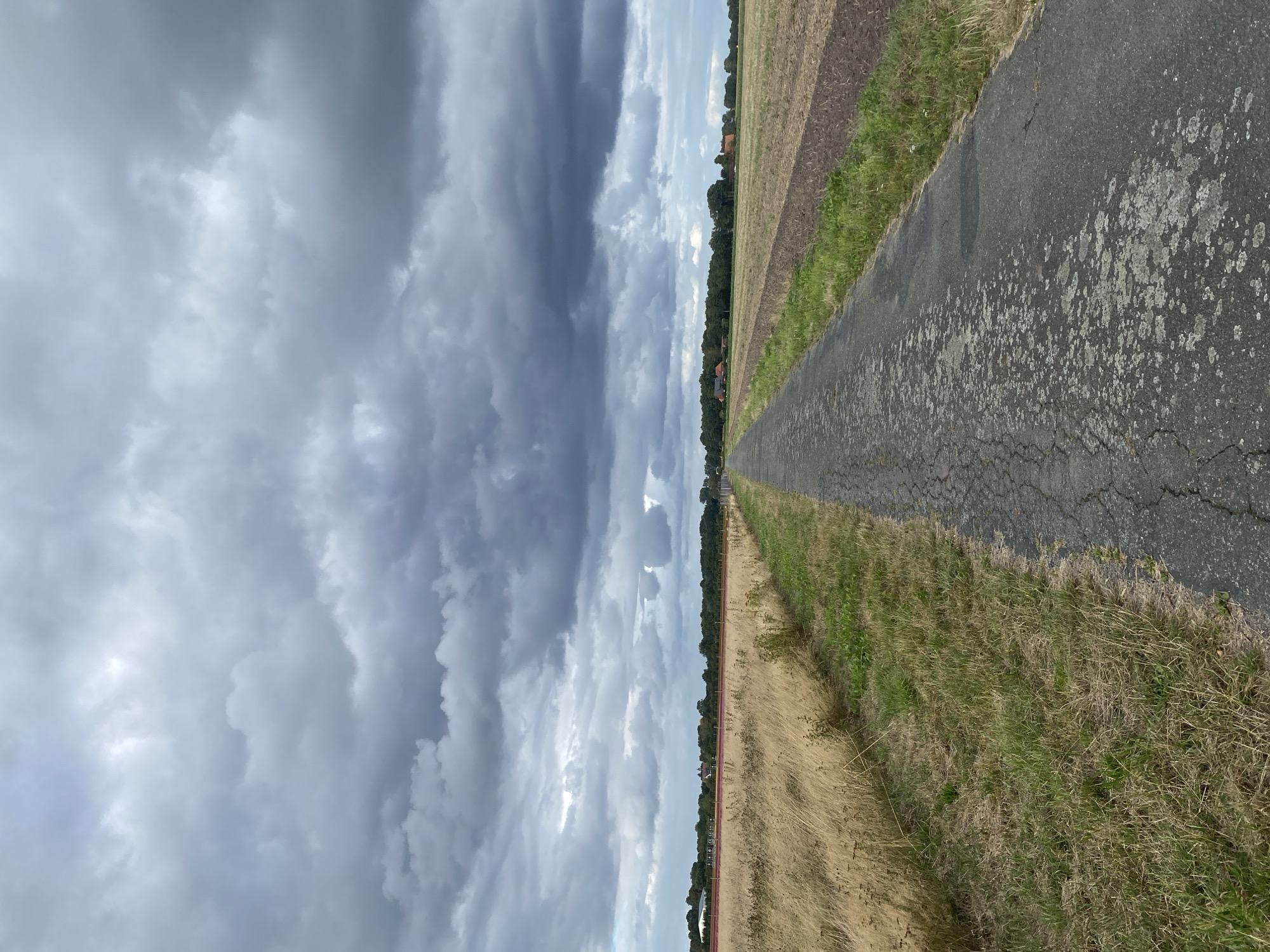 A paved, rural road stretches into the distance under a heavy, overcast sky. The road is cracked and worn, with patches of lichen growing on its surface. To the left of the road, a field of dry, golden grass extends as far as the eye can see. To the right, a field with dark, tilled soil is visible, bordered by a thin strip of green grass. In the distance, a line of trees and several houses can be seen, suggesting the presence of a rural village or settlement. The overall atmosphere is somber and somewhat bleak, due to the dark clouds and the muted colors of the landscape. The location is identified as Schwarme, Germany. There are no people or animals visible in the image.