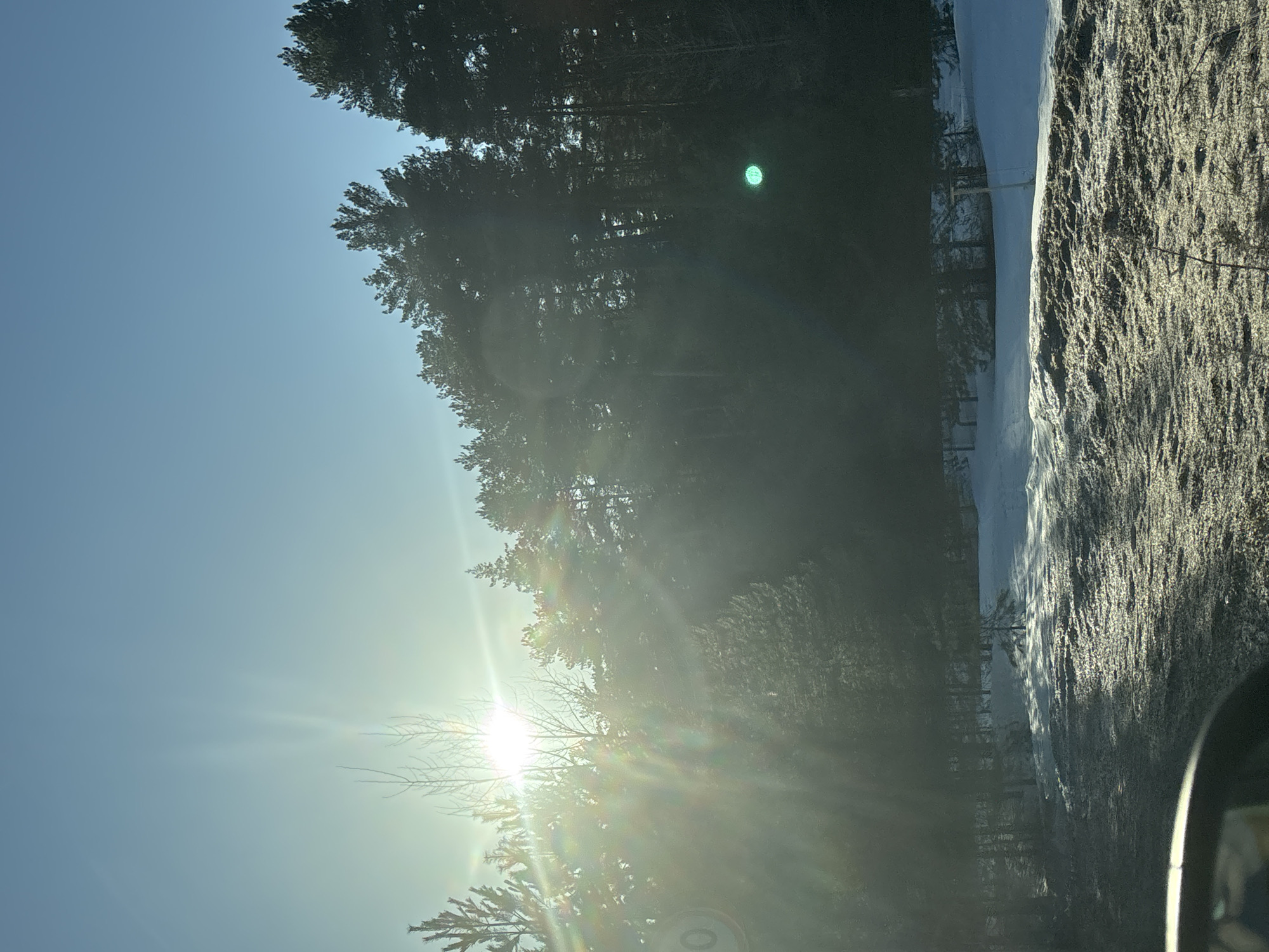 The image captures a bright, sunny day in Chaikovsky, Russia. The sun is shining intensely through a line of trees, creating lens flare. To the right of the trees is what appears to be a snow-covered landscape, possibly a roadside or open field. The photograph seems to have been taken from within a vehicle, as part of the interior is visible. The scene suggests a natural environment within the city, or just outside of it.