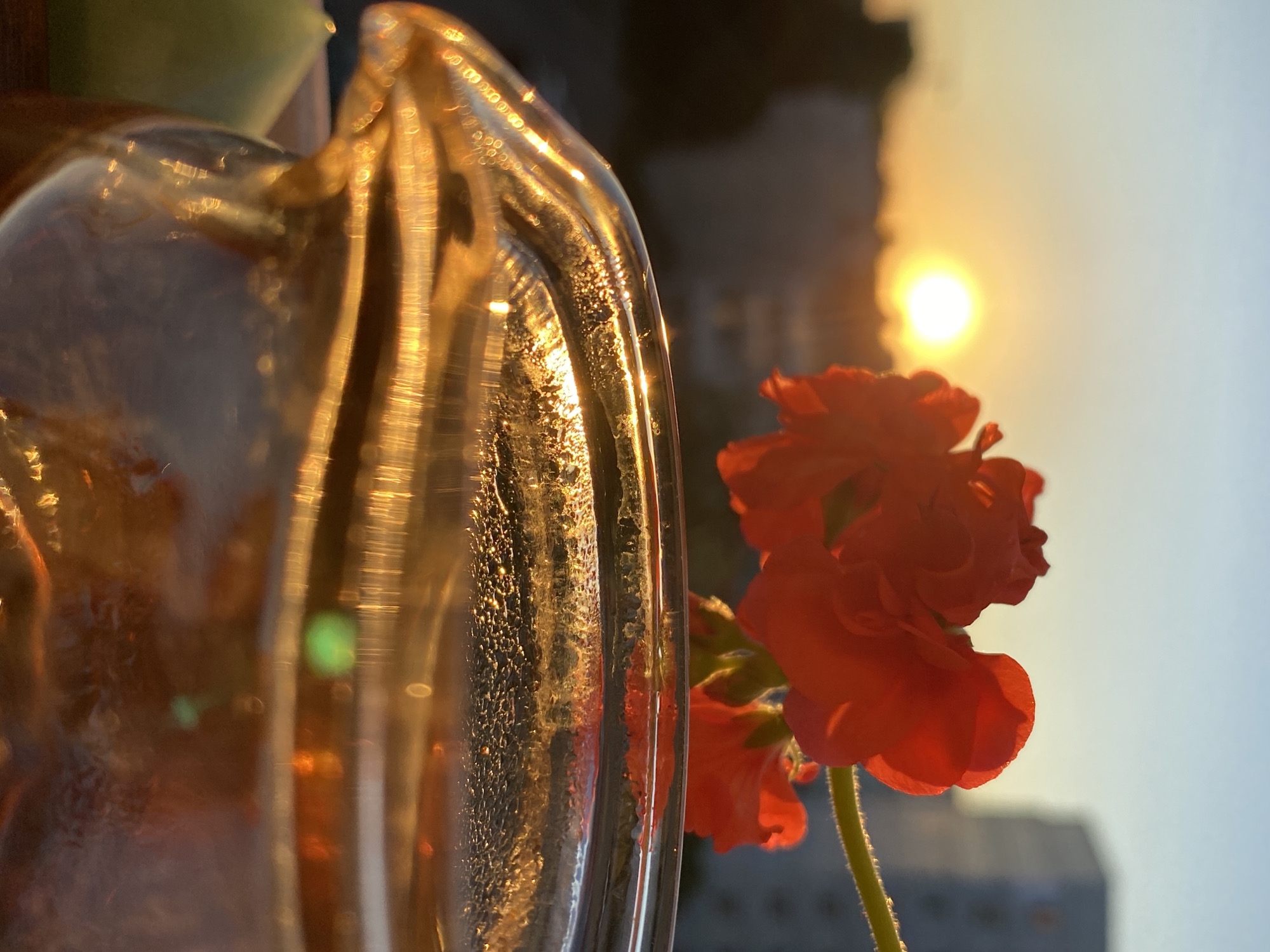 An extreme close-up shot focuses on the rim of a clear glass pitcher filled with a golden-amber liquid, likely tea or juice. Sunlight, glinting off the surface of the liquid and the pitcher's glass, creates a warm, luminous glow. The background is softly blurred, showing a sunset with the sun low on the horizon, casting an orange light across the sky. In the middle ground, a cluster of vibrant red flowers, possibly geraniums, is in focus, their petals catching the sunlight. Behind the flowers, the silhouette of buildings and a faint outline of a city can be seen, suggesting an urban setting. The scene is likely from Chaikovsky, Russia, given the context. There are no people or animals present in the image. The overall impression is one of serene, natural beauty captured during the golden hour.