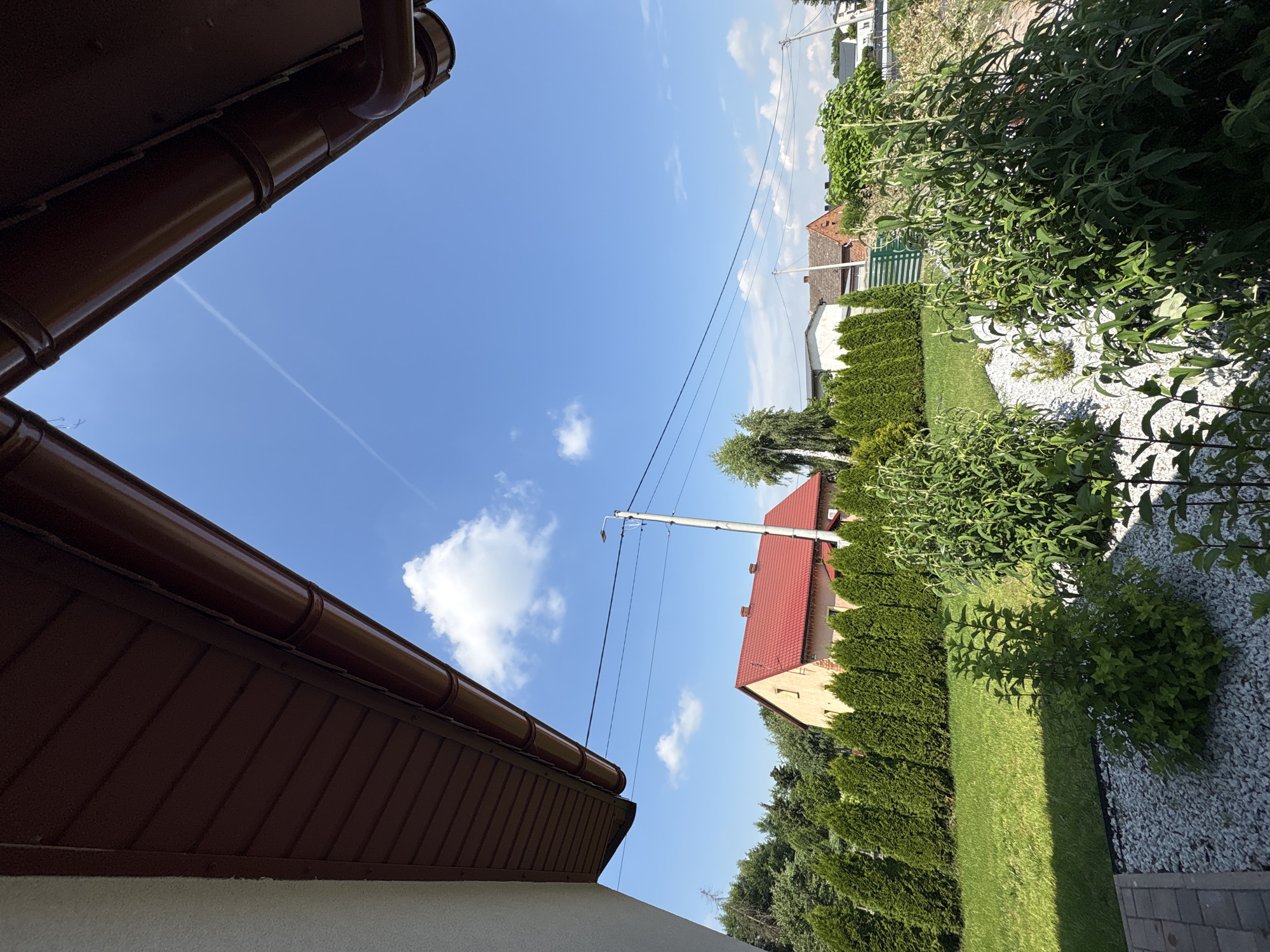 This is an exterior, eye-level, wide shot of a suburban backyard on a sunny day. The scene is located in the city of Drożki, Poland. The foreground is dominated by a gravel pathway with small green plants growing out of it. To the right, a large bush with green leaves is prominently featured, partially obscuring a second, smaller bush. Behind this, a manicured green lawn stretches towards a dense line of tall, dark green evergreen trees that create a natural fence.
Beyond the trees, a light yellow house with a red tiled roof is visible. It has several windows and a chimney. A tall, grey utility pole with wires running across the frame stands to the right of the house, with a street lamp attached near its top. Further back, other houses with red and brown roofs are visible, along with more trees and greenery. The sky above is a clear blue with a few wispy white clouds. The roofline of a building, likely the one the photo is taken from, is visible in the upper portion of the frame, casting a shadow. The overall impression is one of a well-maintained residential property on a pleasant day.
