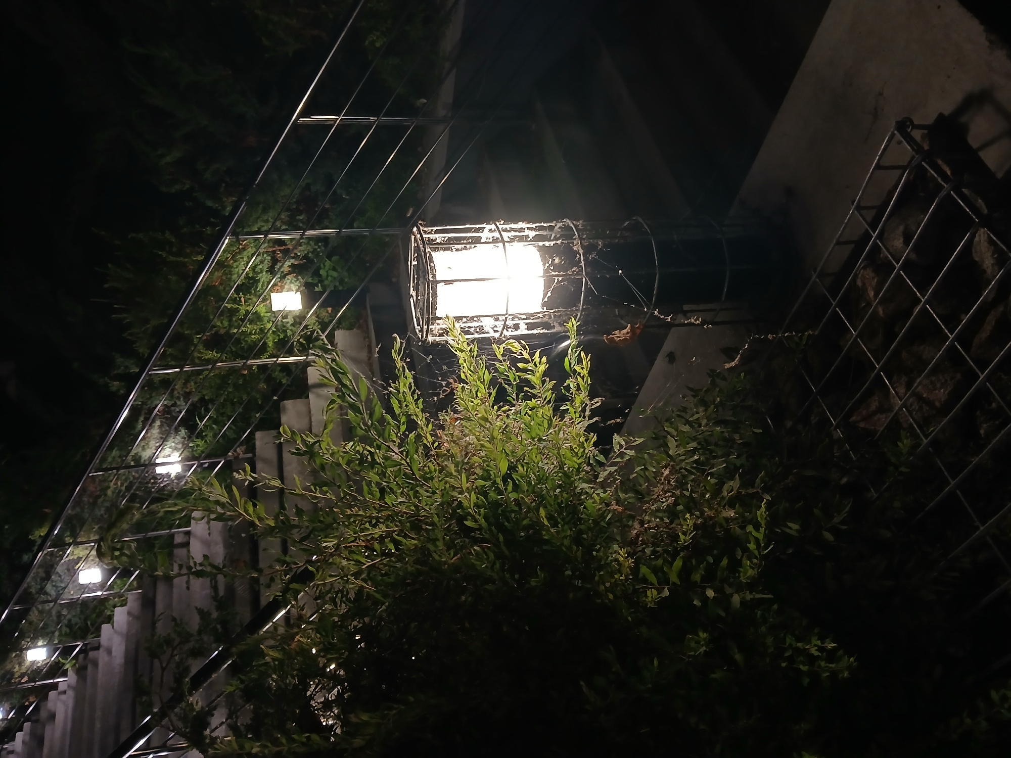 An outdoor scene at night features a concrete staircase with a metal railing leading upwards. Several square, illuminated lamps are embedded along the railing, casting a soft glow. In the foreground, to the right of the stairs, is a cylindrical lantern with a metal cage surrounding a bright light source. Lush green foliage encroaches on the left side of the frame and along the stairs. The ground appears to be a dark, paved surface with a metal grate in the lower right corner. The location is Ukrainka, Ukraine.