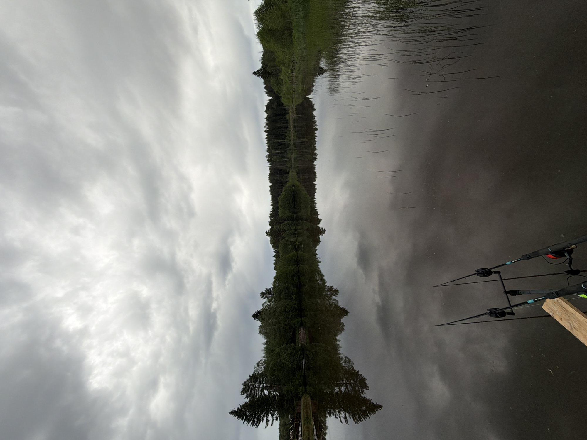 The image shows a body of water reflecting a cloudy sky and a treeline, creating a symmetrical effect. Fishing rods are visible near the water's edge on the bottom right. The location is presumably Прикамский, Russia.