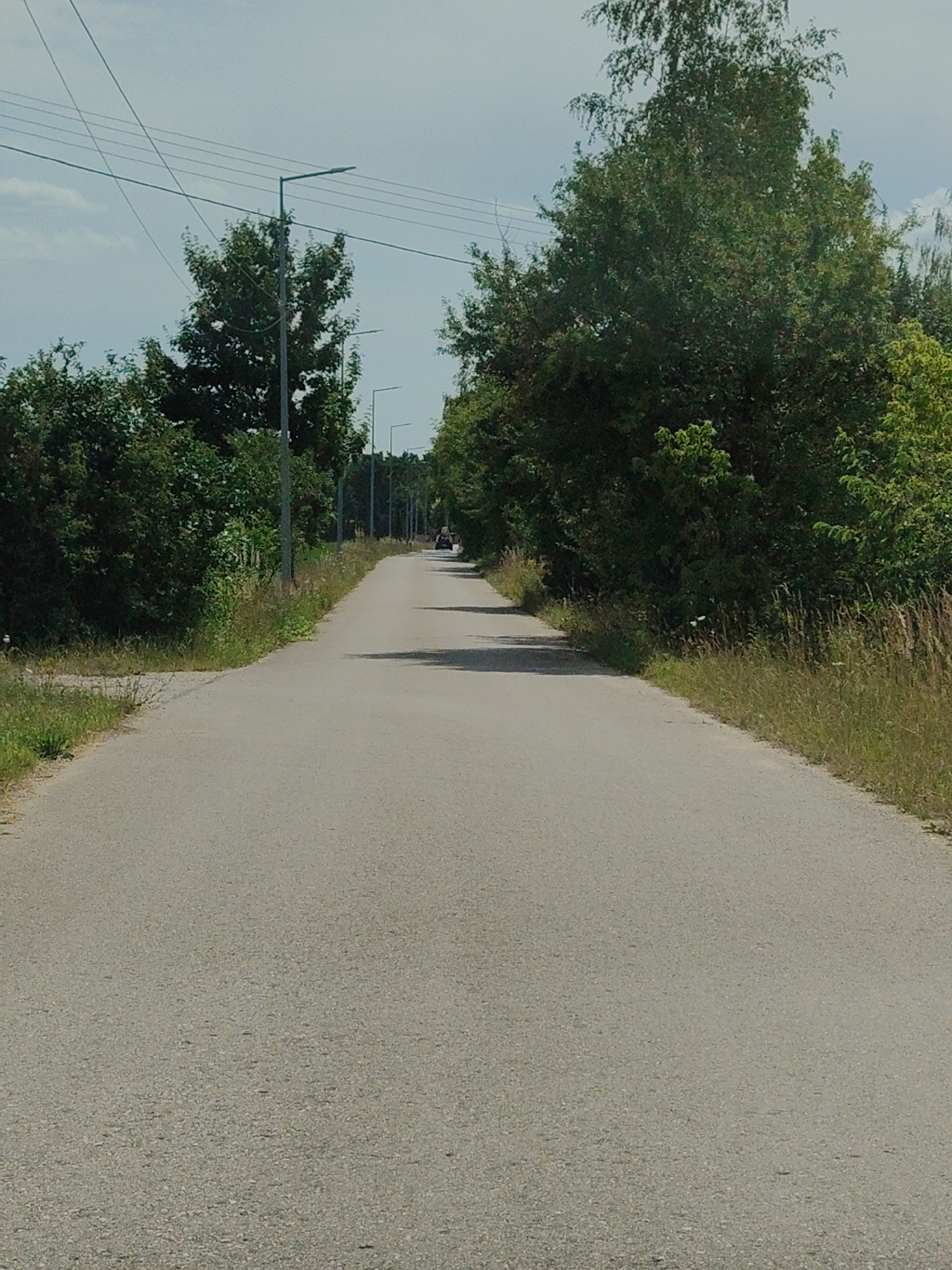 The image shows an asphalt road in Palmiry, Poland, lined with trees and streetlights on the left side. The road stretches into the distance, curving slightly to the right. There are power lines running overhead. The sky is partly cloudy. In the distance, a dark-colored vehicle is visible on the road. The roadside is bordered by grass and dense vegetation.