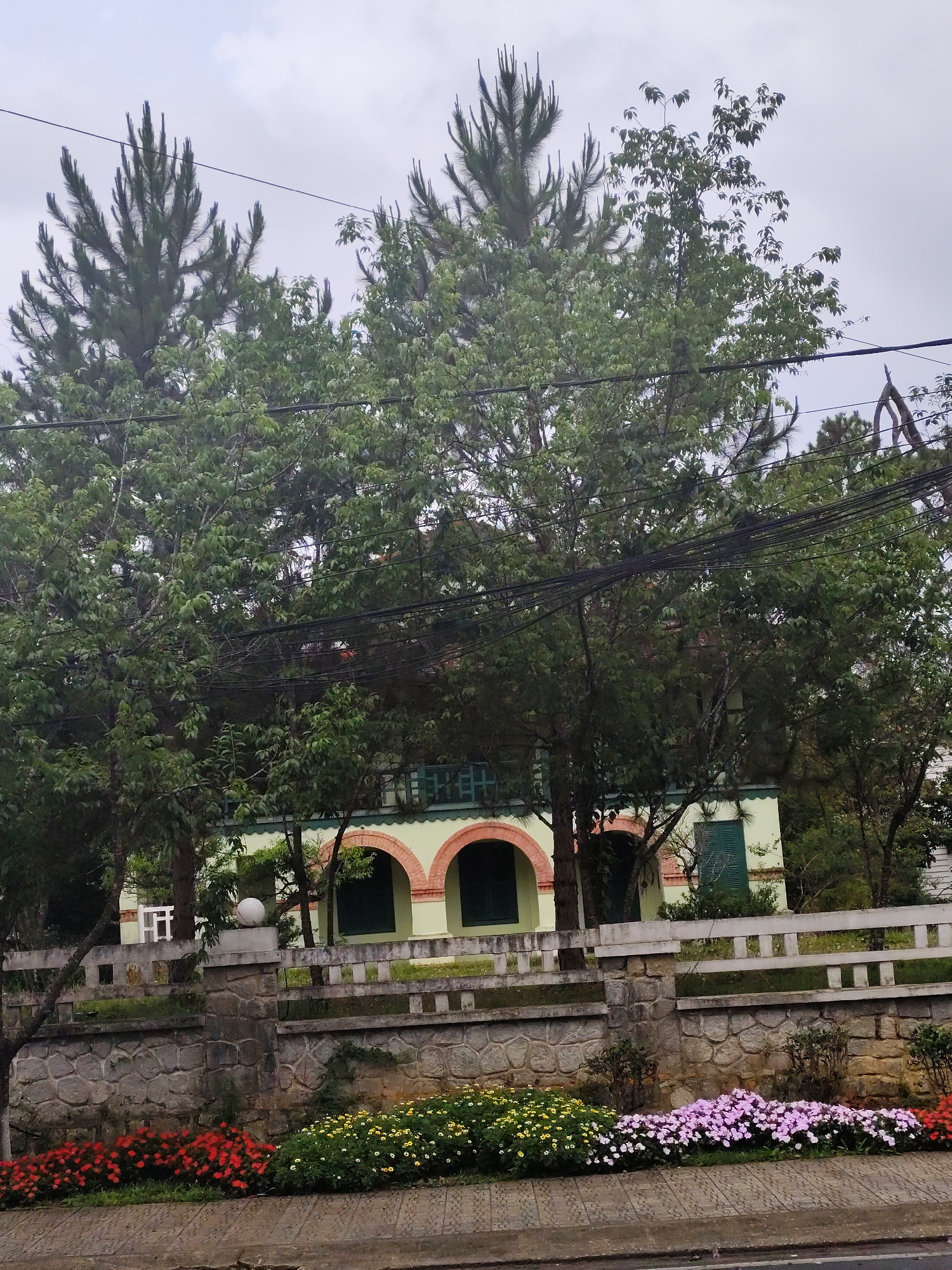 The image depicts a view of a building partially obscured by trees and foliage. The building has a light green exterior with dark green shutters and arched doorways trimmed with brick-colored accents. A stone wall with a white railing borders the property, and flowerbeds with red, yellow, and purple flowers are visible along the base of the wall. Overhead, power lines crisscross in front of the building. The location is Da Lat, Vietnam.