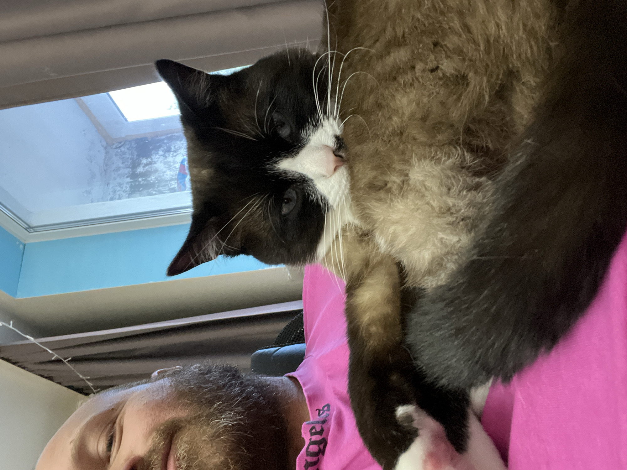 A bald man with a beard, wearing a bright pink t-shirt with white text, is holding a cat. The cat has black, white, and brown fur, and is looking directly at the camera. The background is blurry, with a window and curtains visible. The scene appears to be indoors, in a residential setting. No specific location in Noviy, Russia can be determined from the image.