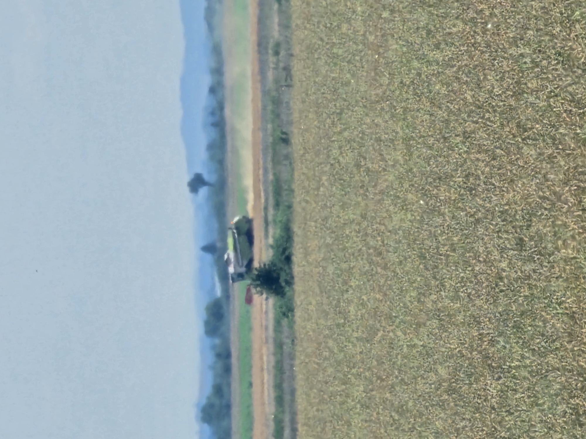 In Загорци, Bulgaria, a combine harvester is operating in a field, harvesting crops. The machine, predominantly green and white, is visible in the middle ground, kicking up dust as it moves across the field. In the foreground, another field of crops, appearing dry and autumnal, stretches towards the viewer. In the background, rolling hills and trees create a hazy, distant landscape under a bright sky.