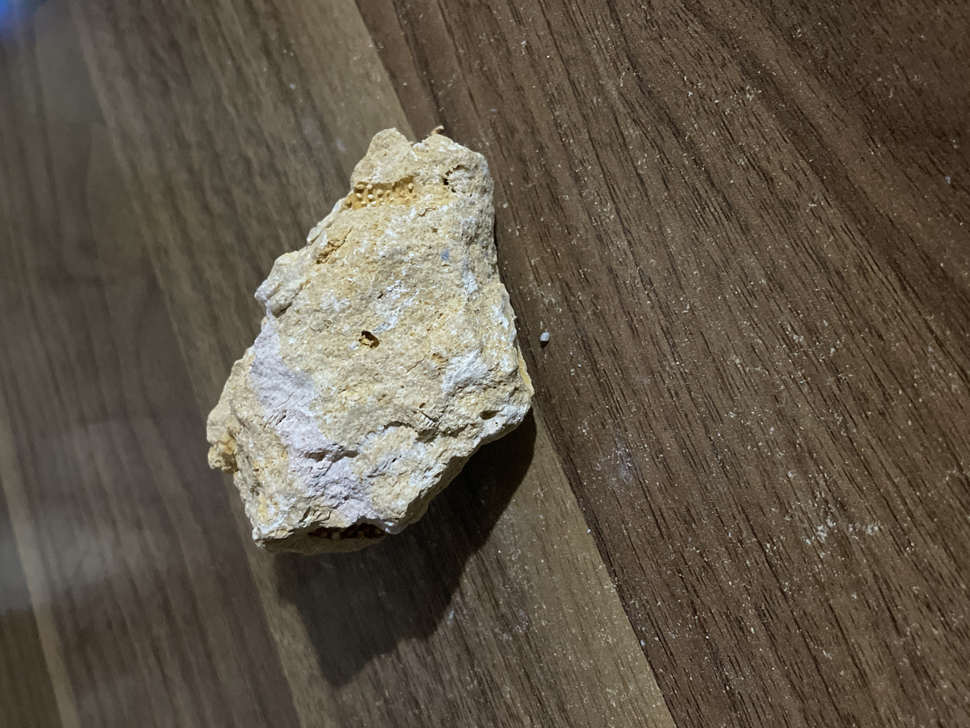 The image displays an irregularly shaped, light-colored rock resting on a dark brown wooden surface. The rock exhibits a rough, porous texture with areas of off-white and pale yellow coloration. On one side of the rock, a cluster of small, yellowish, spherical formations is visible. A tiny, light-colored, elongated object, possibly an insect or a small worm, is present on the top-left edge of the rock in one of the close-up views.
The wooden surface, likely a floor or table, shows a distinct grain pattern running diagonally across the frame and is lightly dusted with fine white particles. A shadow cast by the rock indicates a light source positioned to the top-left. The scene is static, capturing the rock in repose. No specific activity or event is taking place. The setting appears to be indoors. There is no visible text in the image.