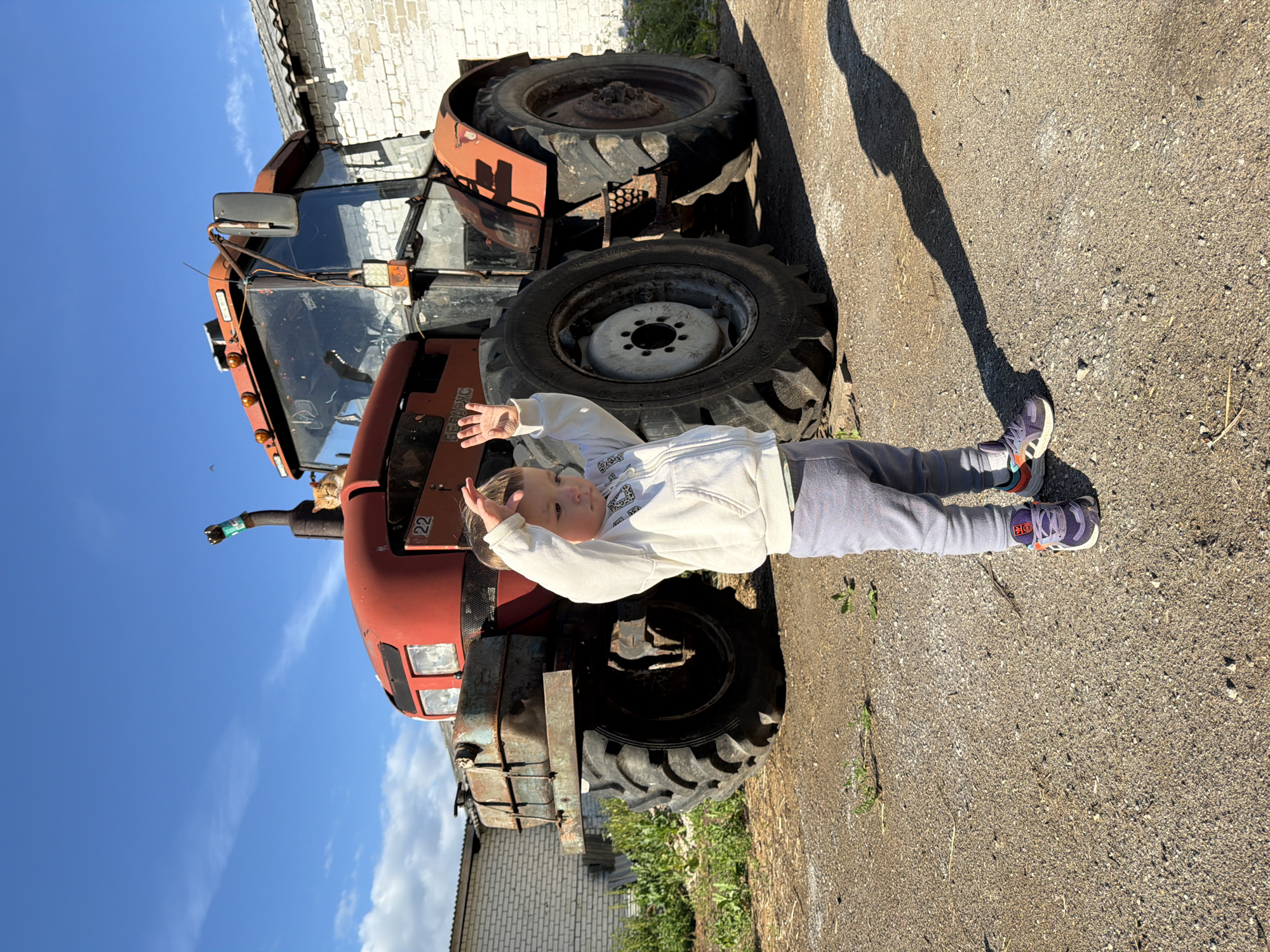 A young child, wearing a white hooded sweatshirt and gray pants, stands on a gravel surface in front of a large, red tractor. The child is facing the viewer, with their arms raised and hands open. The tractor has large, worn tires and a rusty, blue fuel tank mounted on the front. A ginger cat is perched on top of the tractor's engine. In the background, a white brick building with a corrugated roof is visible. The sky is blue with scattered white clouds. The scene appears to be an outdoor rural setting, possibly a farm. The location is specified as Красный Маяк, Russia.