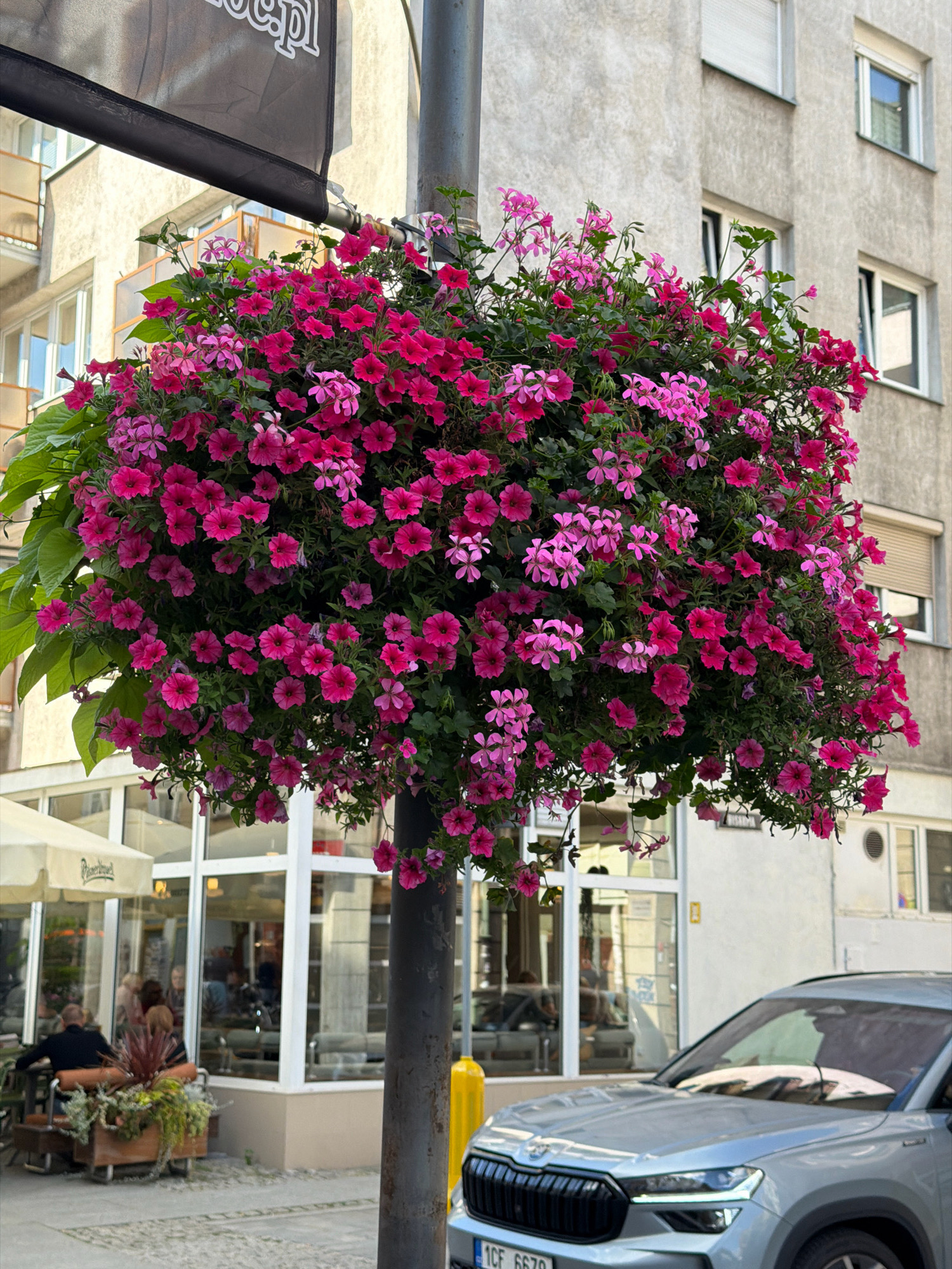 A street-level, eye-level outdoor, full shot captures a hanging basket overflowing with vibrant pink and purple petunias and geraniums, suspended from a lamppost. The lamppost is positioned in the foreground, slightly to the right of the frame, with a gray, textured surface. Behind the lamppost, a building with a neutral-colored, somewhat rough facade features multiple windows with white frames. Some windows have blinds drawn. To the left of the lamppost, a sidewalk is visible, with a light-colored pavement. In the mid-ground, a cafe or restaurant setting is apparent, with large glass windows and a beige awning over a seating area. Several people are seated at tables outside, appearing to be patrons of the establishment. Further to the right, the front of a silver SUV is visible, parked on the street. The license plate reads "1CF 6679". A yellow bollard is also present near the lamppost. The scene suggests a pleasant day in an urban environment, likely a commercial district or a street with outdoor dining. Based on the visible text and architectural style, this scene is likely located in Wrocław, Poland.