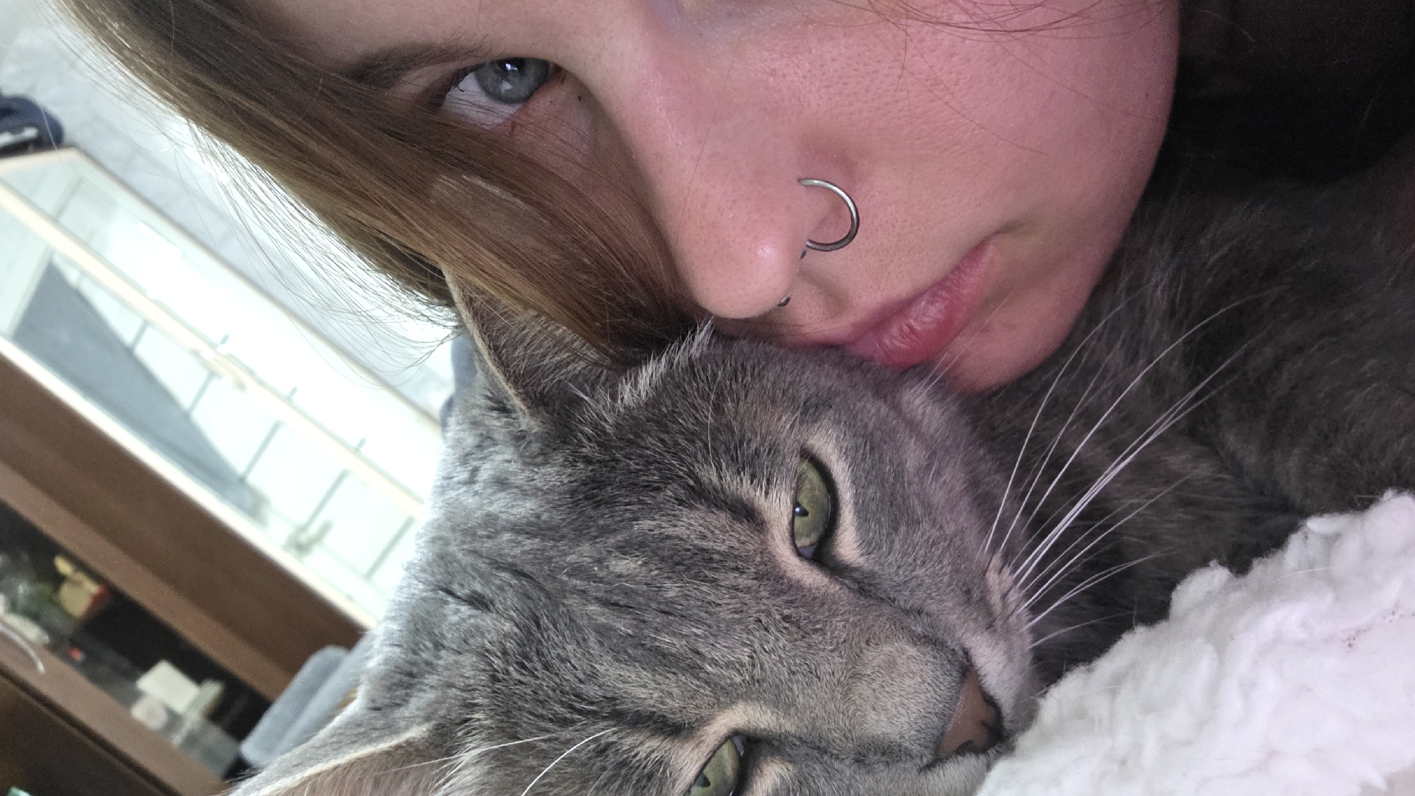 A close-up, slightly angled, indoor shot features a person and a cat. The person, partially visible, has fair skin, a light blue eye, and light brown hair. They wear a silver nose ring in their left nostril. Their face is positioned close to the cat. The cat is a grey tabby with green eyes and long white whiskers. The cat's face is pressed against a white fluffy surface. The background reveals parts of a room with a window and some objects on a shelf. The location and city are unknown. The interaction involves the person being close and affectionate with the cat.