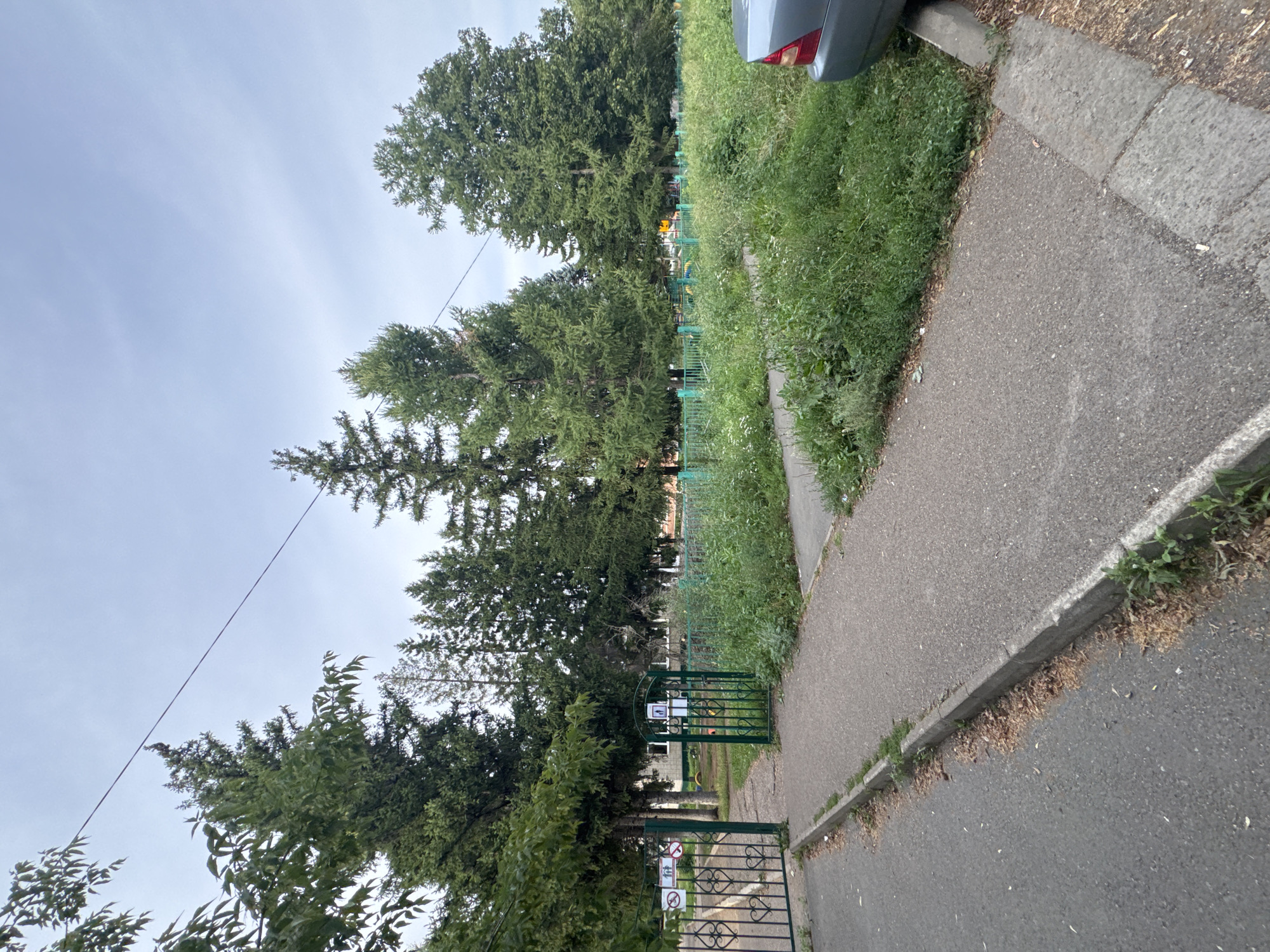 The image depicts a view of a residential area, possibly a playground or courtyard, in Almetyevsk, Russia. In the foreground, a paved walkway runs alongside a road and a patch of overgrown green grass. On the left, a green metal gate with decorative patterns stands open, leading to a fenced-off area. This fenced area contains a smaller green gate and appears to be a playground, with glimpses of colorful structures visible behind the fence. Several tall evergreen trees dominate the background, with dense foliage. The sky is overcast with a muted, pale blue hue. A silver car is parked on the right side of the image, partially visible. Signs are present on the left gate, though their specific content is not clearly discernible.