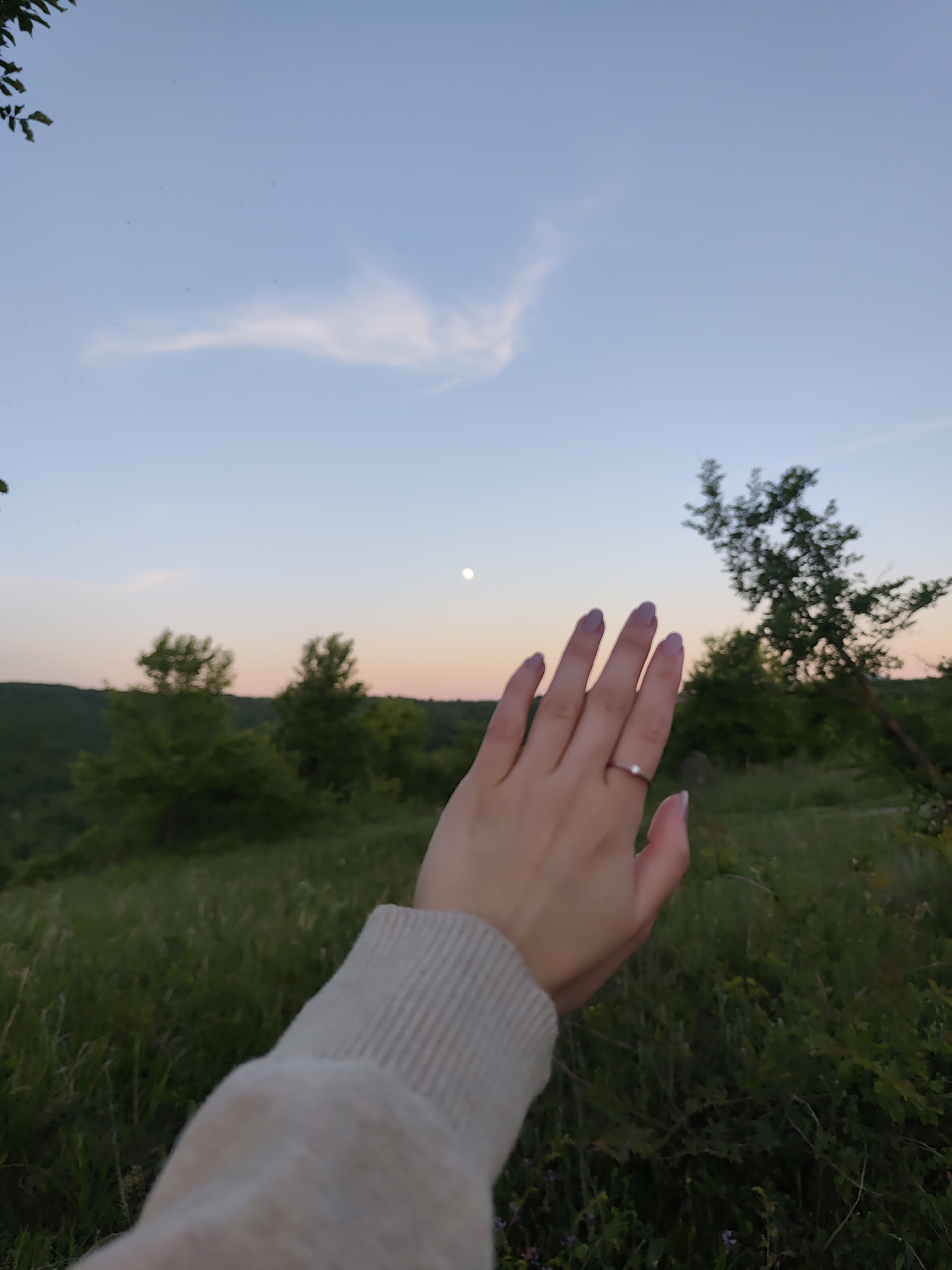 A hand is raised in the air, with a ring on the ring finger, against a backdrop of trees and a dusk sky. The setting appears to be on a grassy hillside, possibly a field or clearing on the edge of a forest. The city and specific location are unknown.