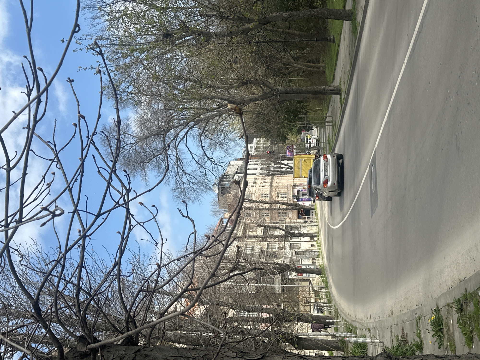 This street scene in Varna, Bulgaria, presents a view from ground level, with trees in the foreground partially obscuring the cityscape. The trees are leafless, hinting at either early spring or late autumn. A two-lane road curves into the distance, marked by a solid white line dividing the lanes. A silver-colored car is visible traveling on the road, partially obscured by a yellow vehicle in front of it. Buildings line the street, ranging in style from older, low-rise structures to taller, more modern apartment blocks. Barely discernible figures of people suggest pedestrian activity on the sidewalks. The sky is blue with scattered clouds.