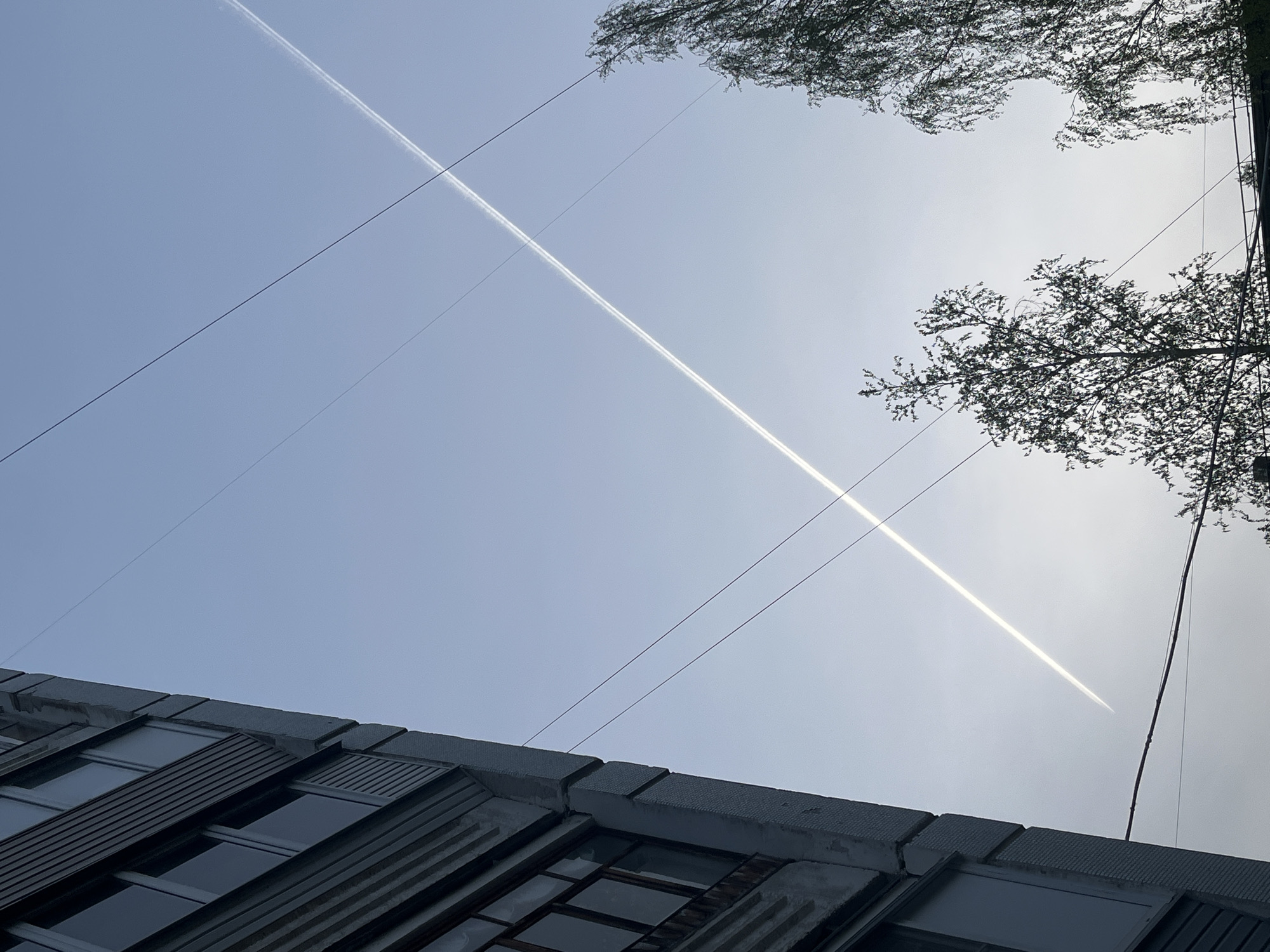 The image captures a view of the sky in Chaikovsky, Russia. A long contrail stretches across the frame, diagonally from the top right to the lower left. Several electrical wires intersect the contrail. Trees are visible in the top right and top left corners. A building with a unique window structure is at the bottom. The sky is a light blue/grey color, suggesting either early morning or late afternoon. No people are visible in the image.