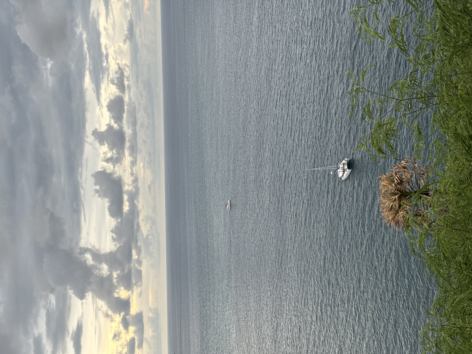 An elevated, wide-angle view captures the serene expanse of the Andaman Sea off the coast of Rawai, Thailand, under a dramatic, cloud-filled sky. The water exhibits a textured, choppy surface, with ripples indicating a gentle breeze. Two sailboats are visible: one, a white catamaran with a single mast, sails towards the viewer's left in the mid-ground; another, smaller vessel, possibly a motorboat, is further in the distance to the left. The horizon line is sharp, dividing the deep blue-grey of the sea from the muted sky, which is dominated by heavy, grey clouds with patches of soft, yellow light breaking through near the left edge. In the foreground, the lush, green foliage of tropical plants drapes over the edge of the frame, with a desiccated, dried plant adding a contrasting texture. The scene evokes a sense of tranquility and the raw beauty of a coastal landscape during an overcast day.