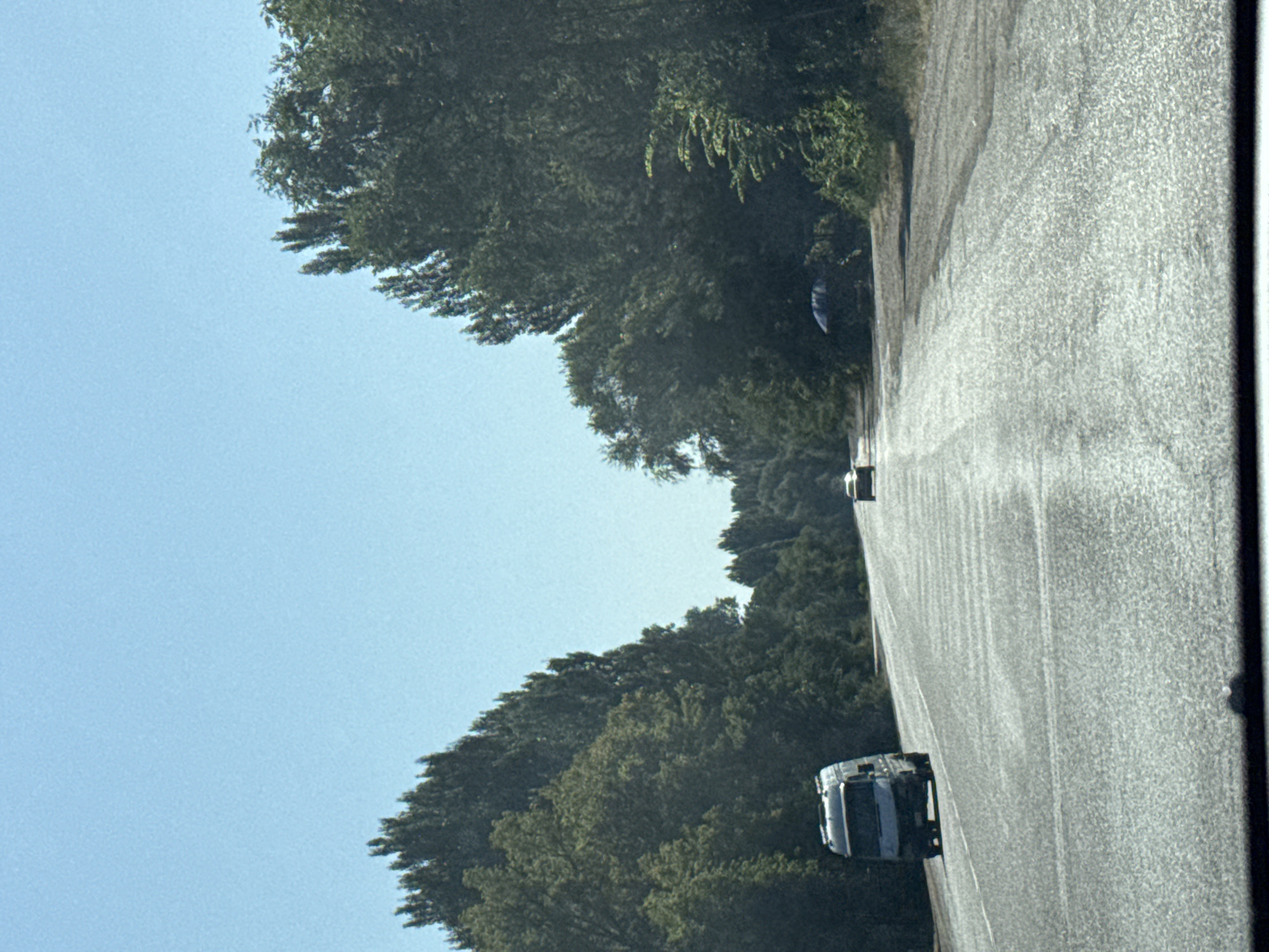The image captures a scene from a vehicle traveling on a road bordered by dense trees on both sides. The road appears to be asphalt with visible cracks and wear, and it stretches into the distance, curving slightly to the right. The sky is clear and blue.
On the left side of the road, a white cargo van is driving. Further down the road, a lighter-colored car is visible in the distance. On the right side of the road, near the trees, there is a dark umbrella with a metal frame, suggesting a potential roadside stop or resting area. The trees are tall and leafy, creating a canopy effect over parts of the road. The overall environment suggests a rural or semi-rural setting, possibly a highway or a major road connecting different areas. The lighting indicates it is daytime, likely sunny due to the clear sky and bright conditions. There are no visible people in the frame.