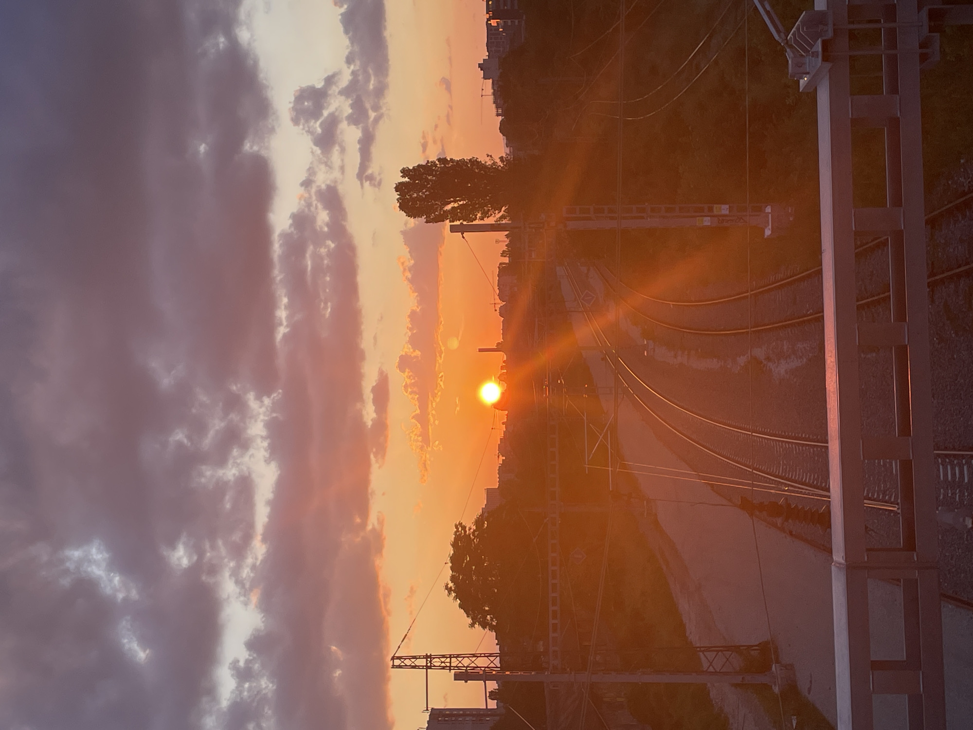 The image captures an urban landscape in Sofia, Bulgaria, at sunset, viewed from an elevated vantage point, likely a bridge or overpass. The scene is dominated by warm, intense orange and red hues from the setting sun, positioned brightly on the horizon slightly right of center, casting radial light rays and lens flares across the middle ground.
The sky in the upper portion features a mix of dark, reddish-purple clouds at the top transitioning to brighter orange and yellow tones closer to the horizon. Scattered, illuminated clouds are visible against the vibrant sky.
The midground is occupied by a complex network of multiple train tracks curving into the distance. Associated railway infrastructure, including tall metal poles (one lattice-structured on the left, another solid on the right) and overhead electrical lines, are visible alongside and above the tracks. The areas immediately adjacent to the tracks appear to have some vegetation.
Silhouetted against the bright sunset are various urban elements: multi-story buildings, potentially including some with construction cranes, form a dense skyline along the horizon. Several trees are also visible in silhouette, notably a large, rounded tree on the left and a prominent tall, slender, dark tree on the right, both obscuring parts of the distant city.
In the immediate foreground, a metal railing, part of the structure from which the photograph was taken, spans the bottom edge of the frame. It consists of horizontal and vertical bars, reflecting the ambient orange light. No people, active trains, or other moving subjects are visible in the static scene.