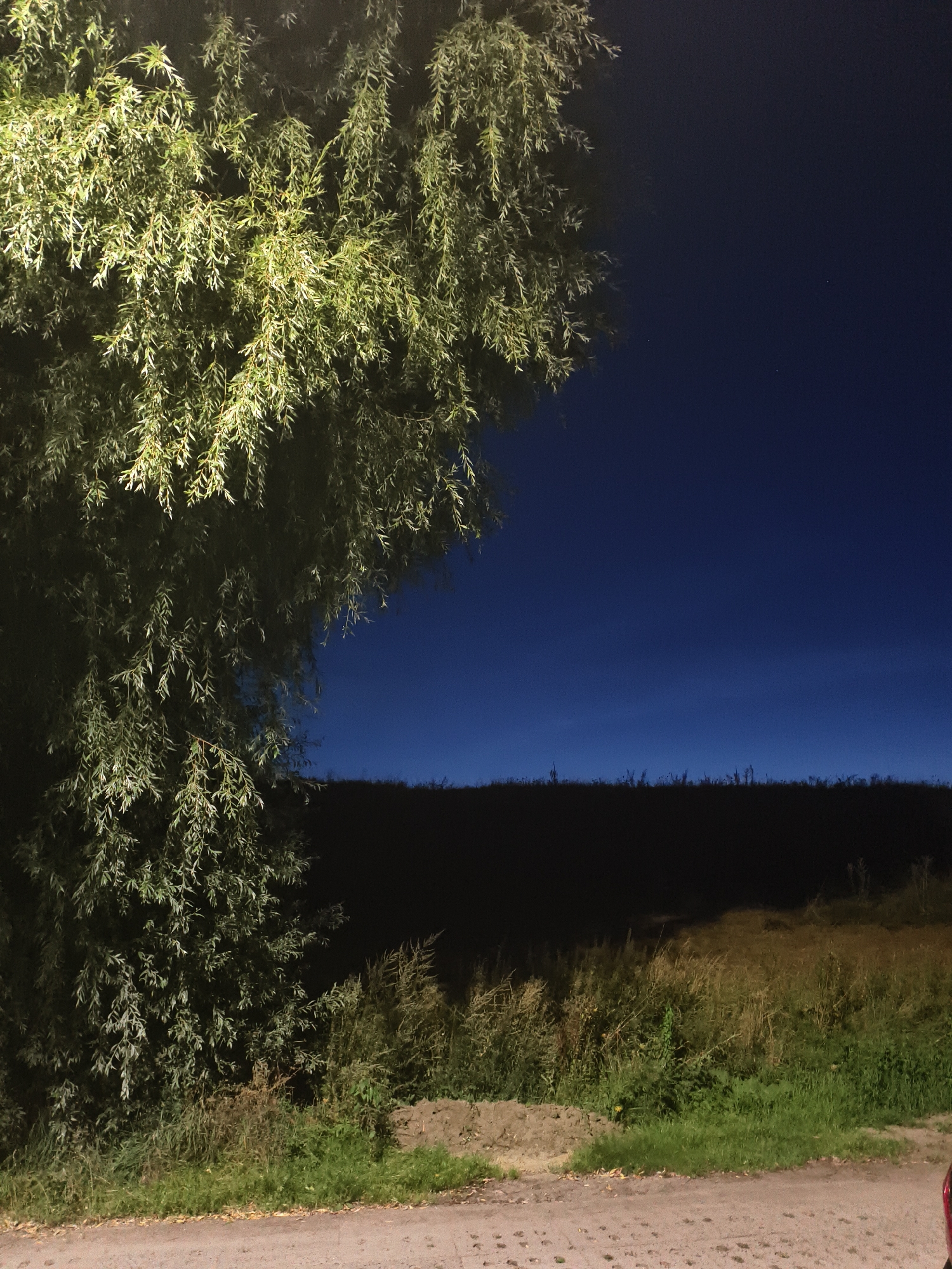 The image depicts a dimly lit outdoor scene at night. On the left side of the frame, a large tree with long, weeping branches dominates the foreground. The leaves of the tree are illuminated by an artificial light source, casting a greenish-yellow glow. The background features a dark, indistinct landscape with vegetation and a clear night sky that transitions from a deep blue near the horizon to black at the top of the image. There is a faint line of vegetation along the horizon. In the lower portion of the image, a dirt or gravel path is visible, with some scattered leaves and debris. The overall impression is one of a serene, natural setting at night. Based on the provided information, this scene is located in the city of Tczew, Poland.