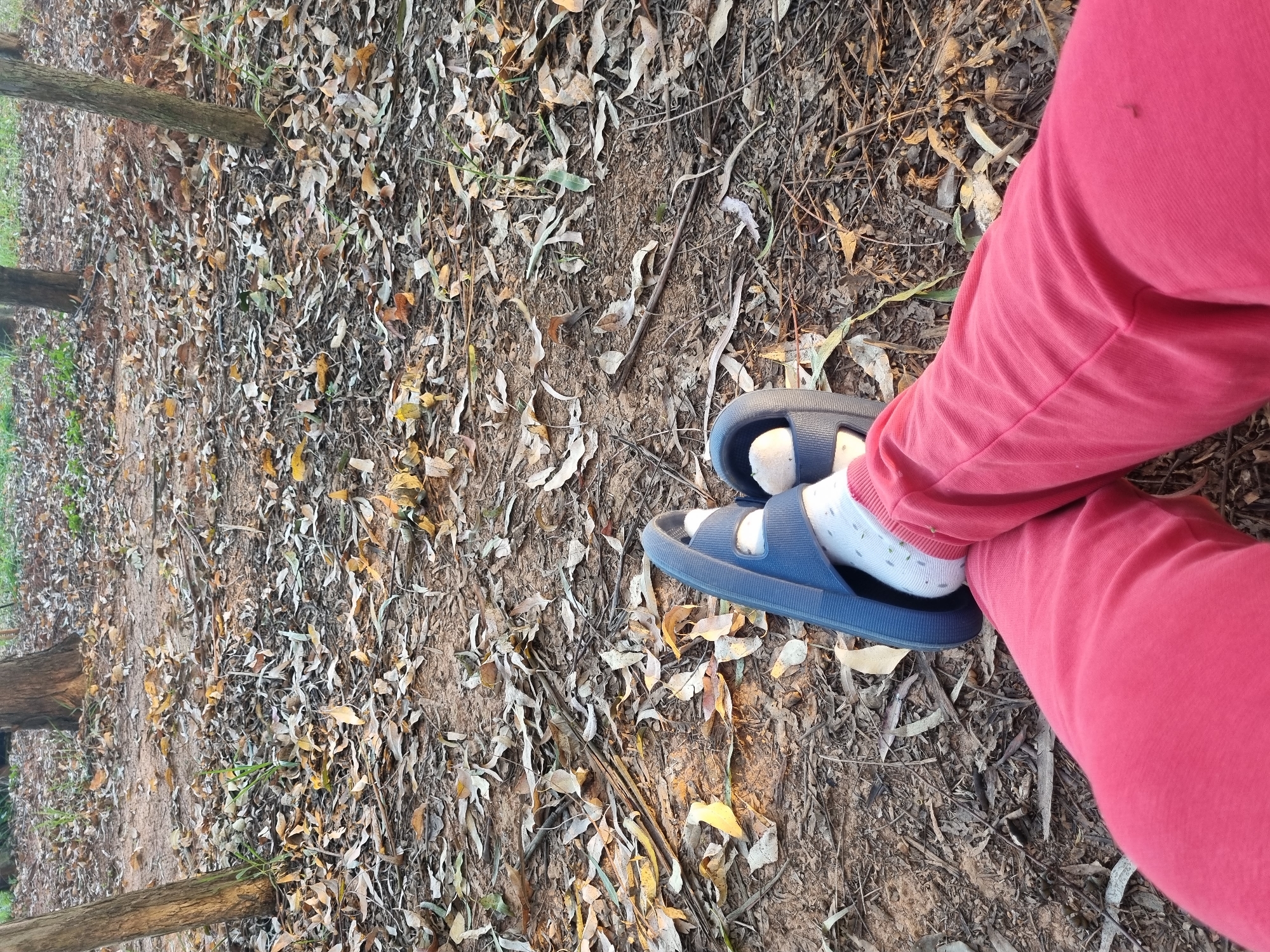 The image depicts a close-up view of a person's legs, wearing red pants and white socks with blue slide sandals, resting on a ground covered with fallen leaves and dirt. The scene appears to be outdoors, possibly in a park or wooded area, with tree trunks visible in the background. The lighting suggests it is either early morning or late afternoon. The location is identified as Laranjal Paulista, Brazil.