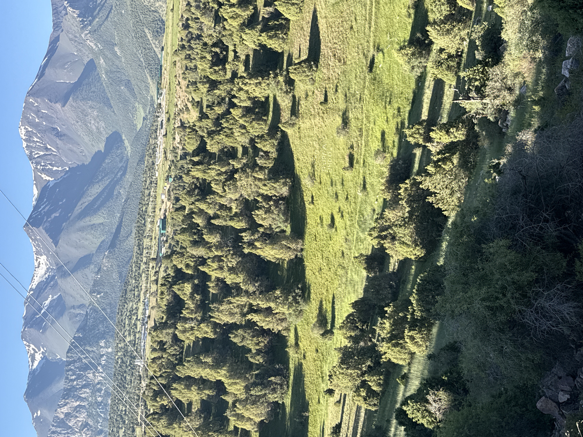 The image shows a view of the area surrounding Myk, Uzbekistan. In the foreground, there is a steep slope covered with dark green shrubs and rocks. Behind this, a gently sloping hill is covered with numerous coniferous trees and patches of bright green grass. Further in the background, there is a valley with more scattered trees and some buildings, including what appear to be industrial facilities. In the distance, a range of majestic mountains rises, with some peaks still capped with snow. The sky is clear and blue. The overall scene depicts a natural, mountainous landscape with evidence of human development.