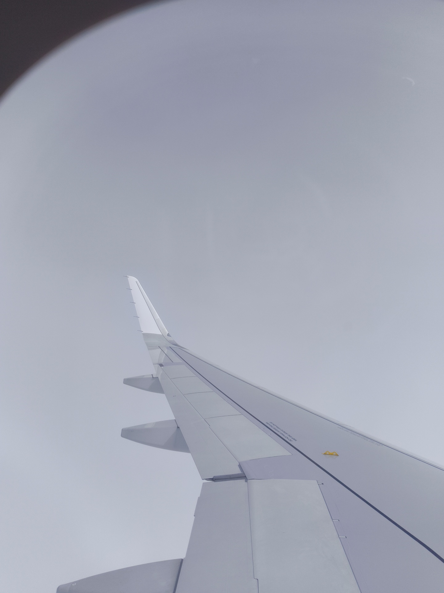 An exterior shot of an airplane wing seen from inside the cabin. The wing is angled diagonally from the bottom left to the top right of the frame, against a pale, overcast sky. The wing itself is a light grey color with darker grey lines delineating sections and a thin black line running parallel to its edge. A small yellow object, possibly a warning label or indicator, is visible on the surface of the wing. The scene is devoid of any specific Vĩnh Trạch, Vietnam landmarks or context.